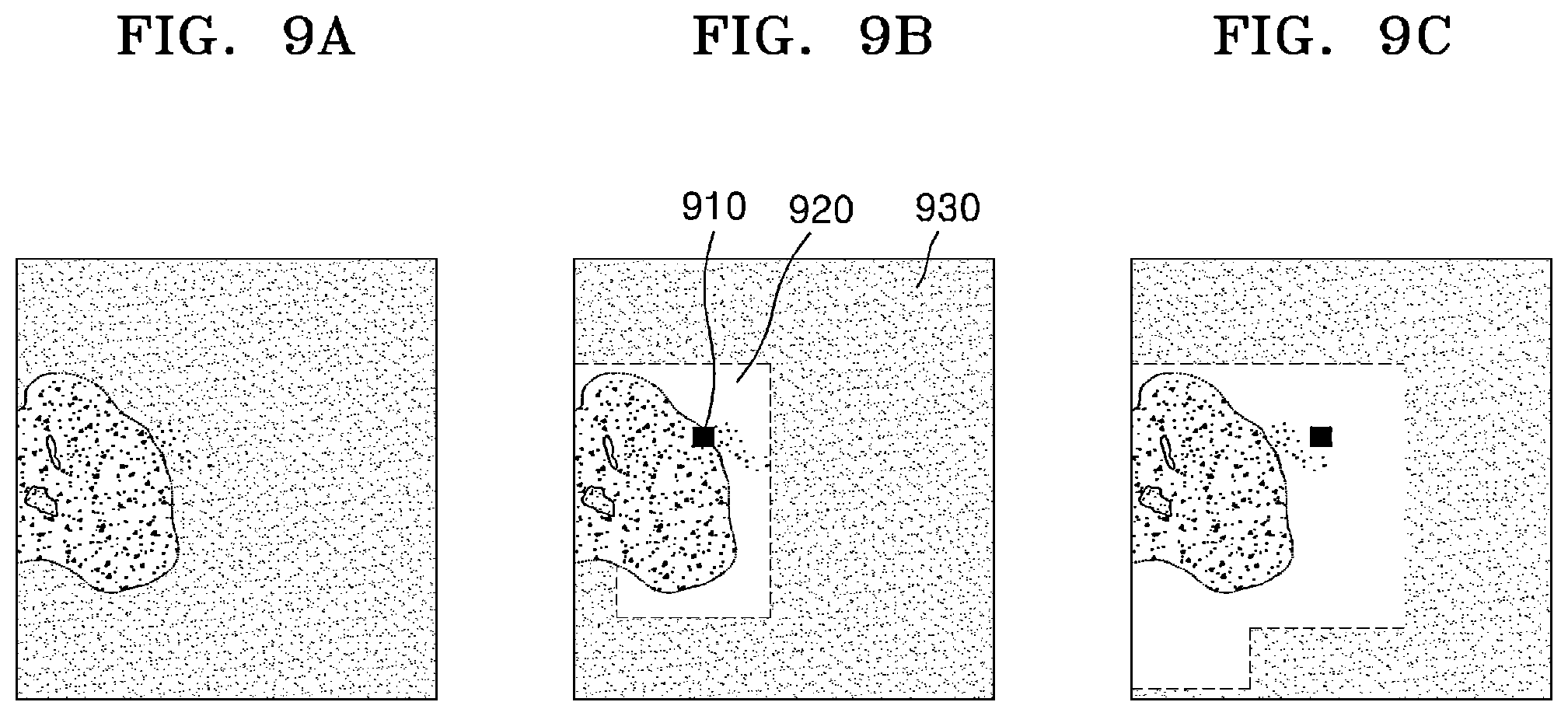 Patent US12541815 Figure 10 – Method and device for outputting pathology slide image