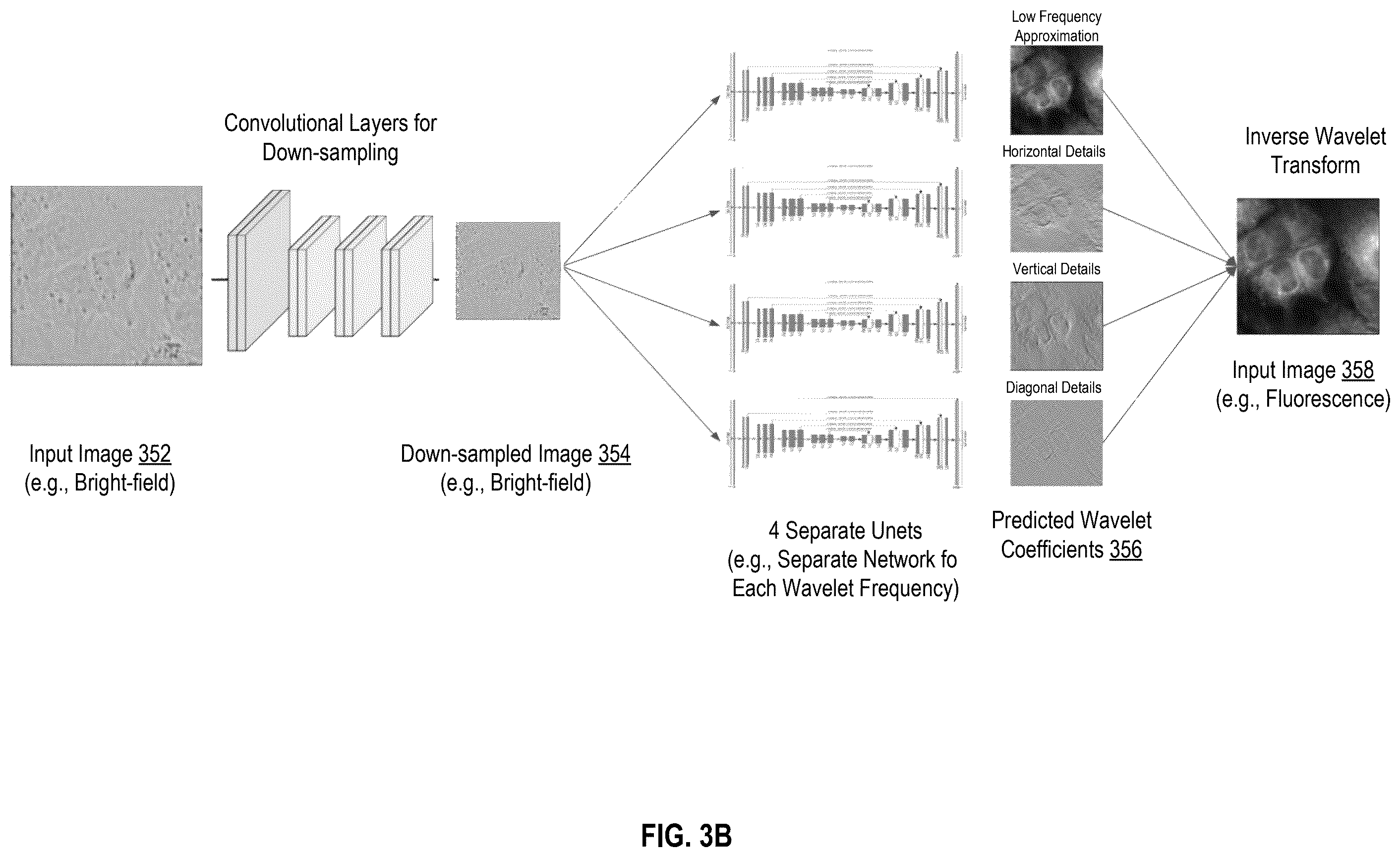 Patent US12541983 Figure 5 – Biological image transformation using machine-learning models