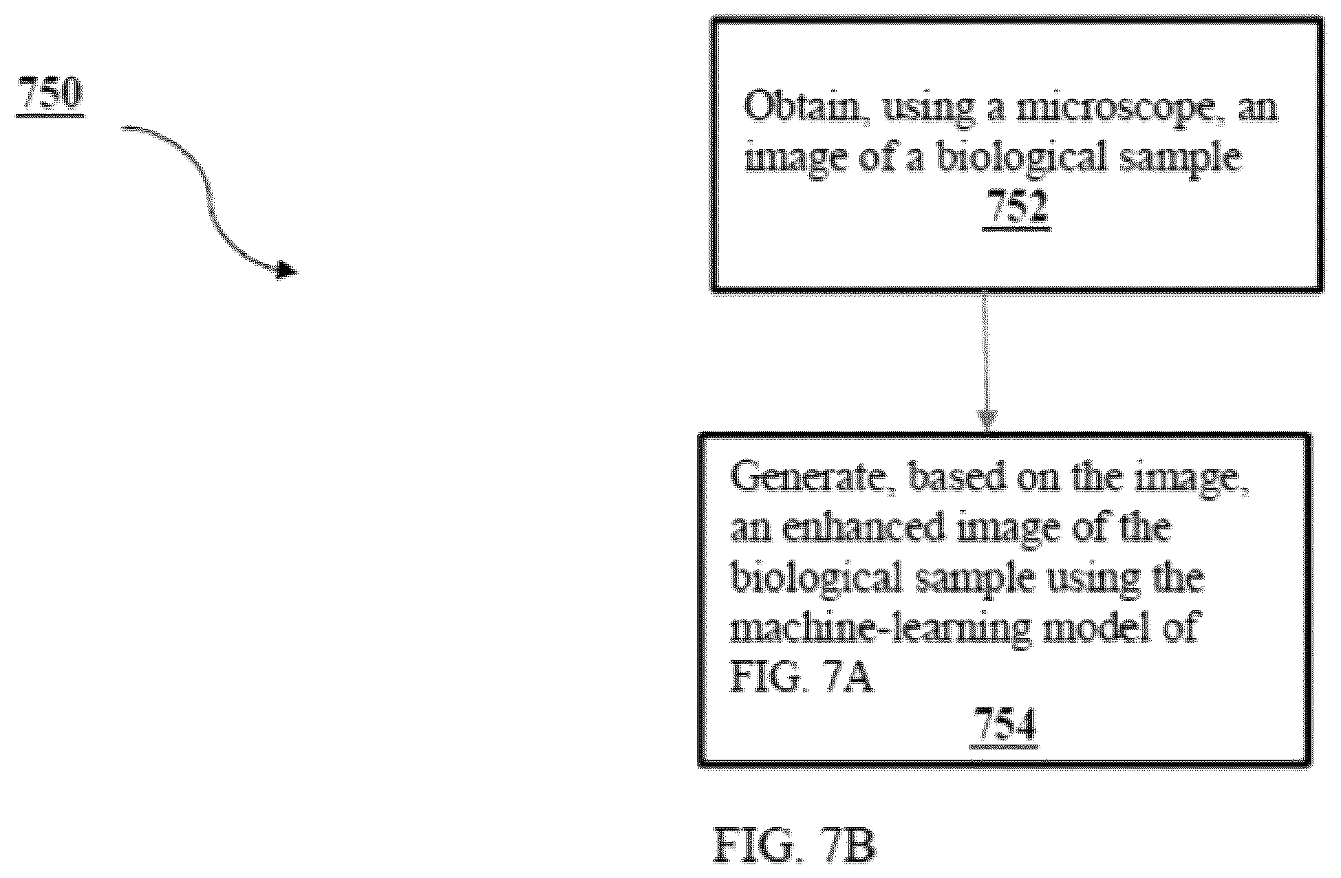Patent US12541983 Figure 13 – Biological image transformation using machine-learning models
