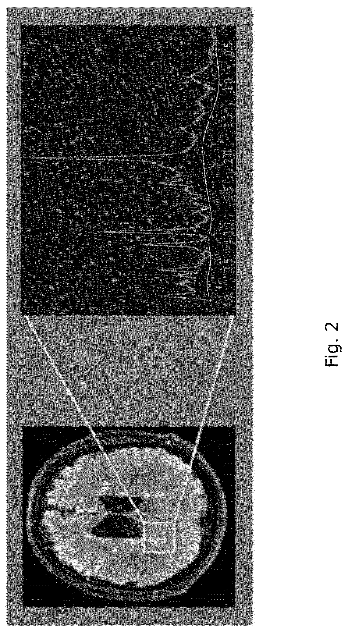 Patent US12551107 Figure 2 – Systems and methods of analyzing and interfacing with combined imaging and spectroscopy data for the brain