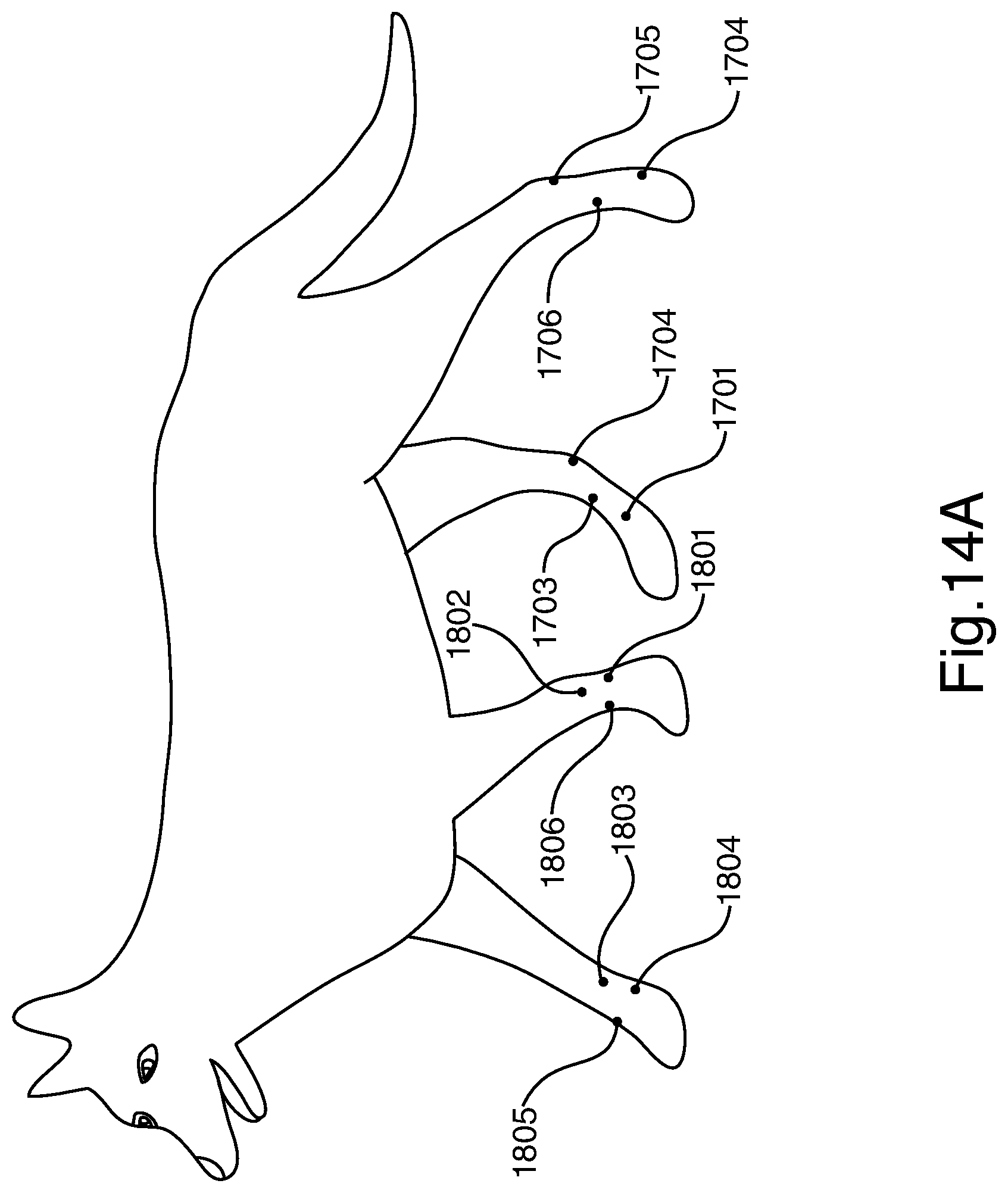 Patent US12551128 Figure 10 – Methods and apparatus for electro-meridian diagnostics