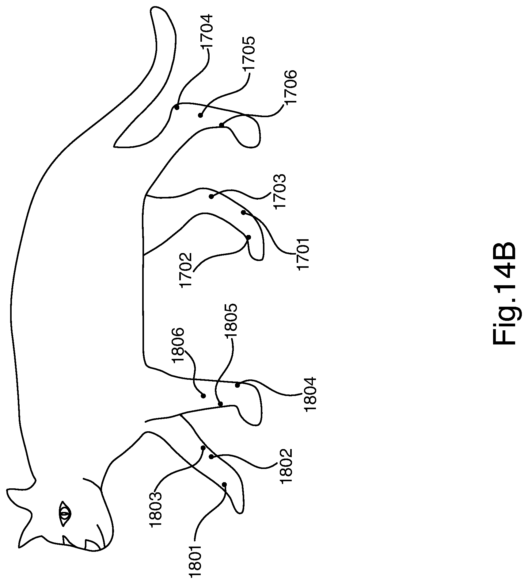 Patent US12551128 Figure 11 – Methods and apparatus for electro-meridian diagnostics