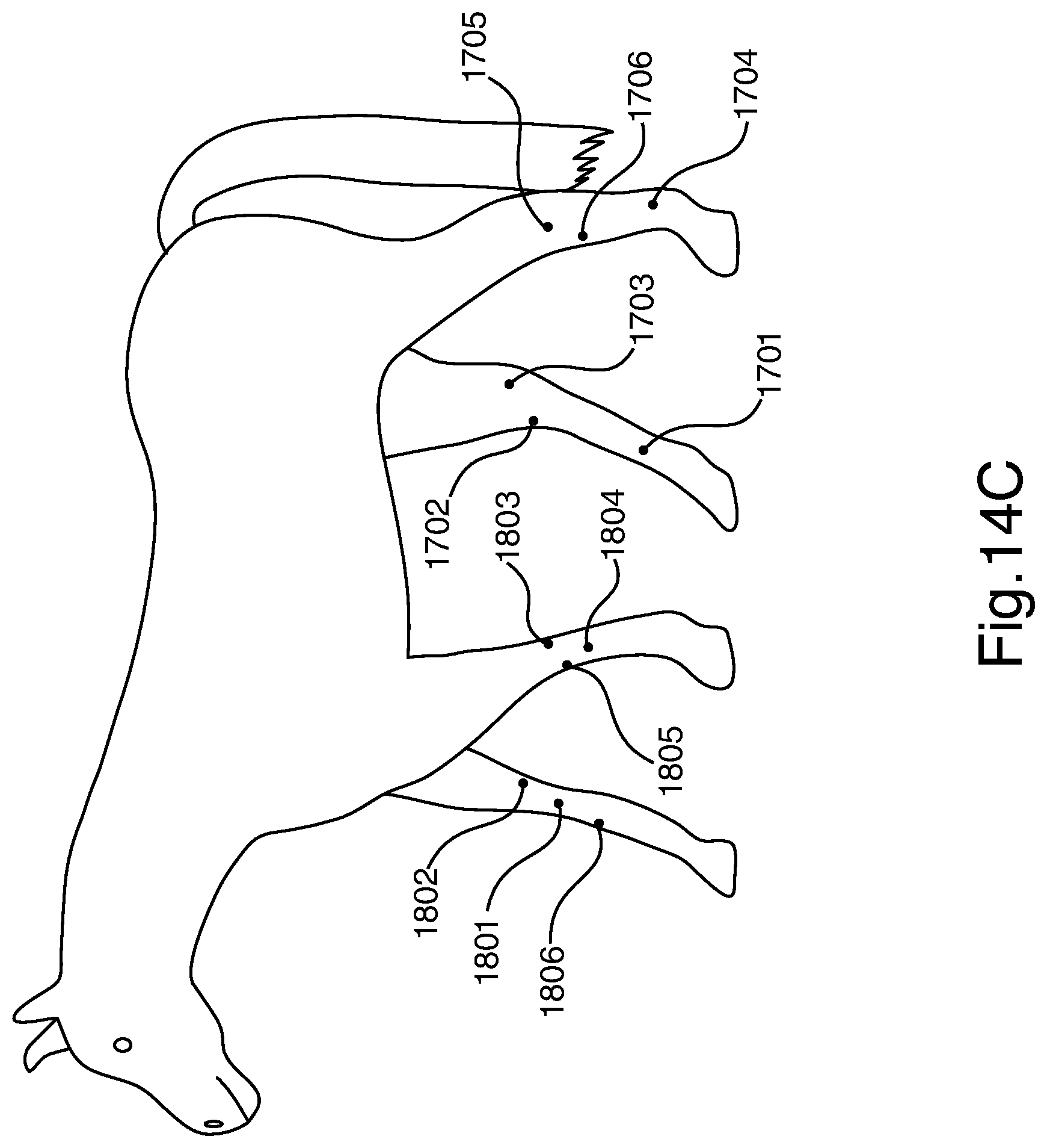 Patent US12551128 Figure 12 – Methods and apparatus for electro-meridian diagnostics