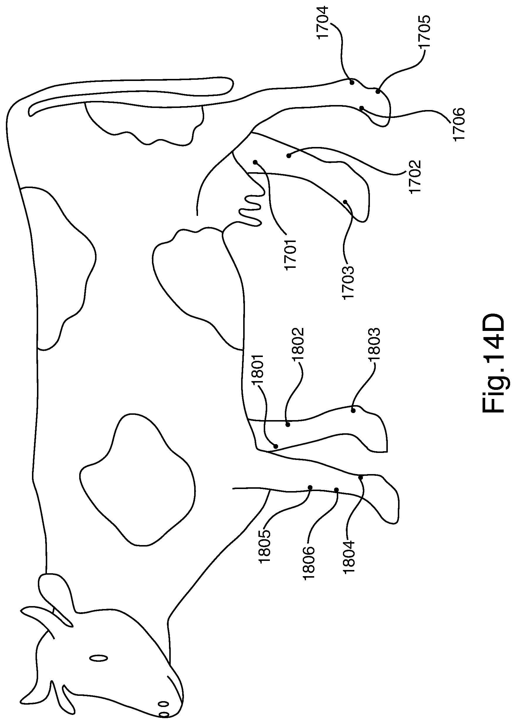 Patent US12551128 Figure 13 – Methods and apparatus for electro-meridian diagnostics