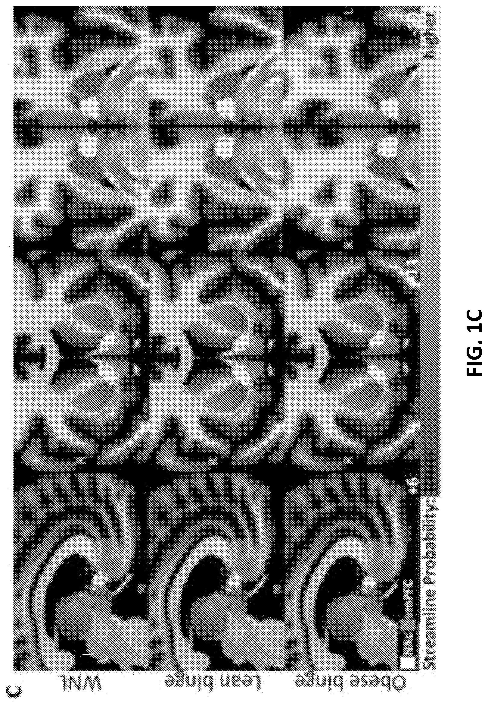 Patent US12551130 Figure 2 – Methods of targeting neural circuit for personalized neuromodulation for impulsivity-related or uncontrollable behaviors