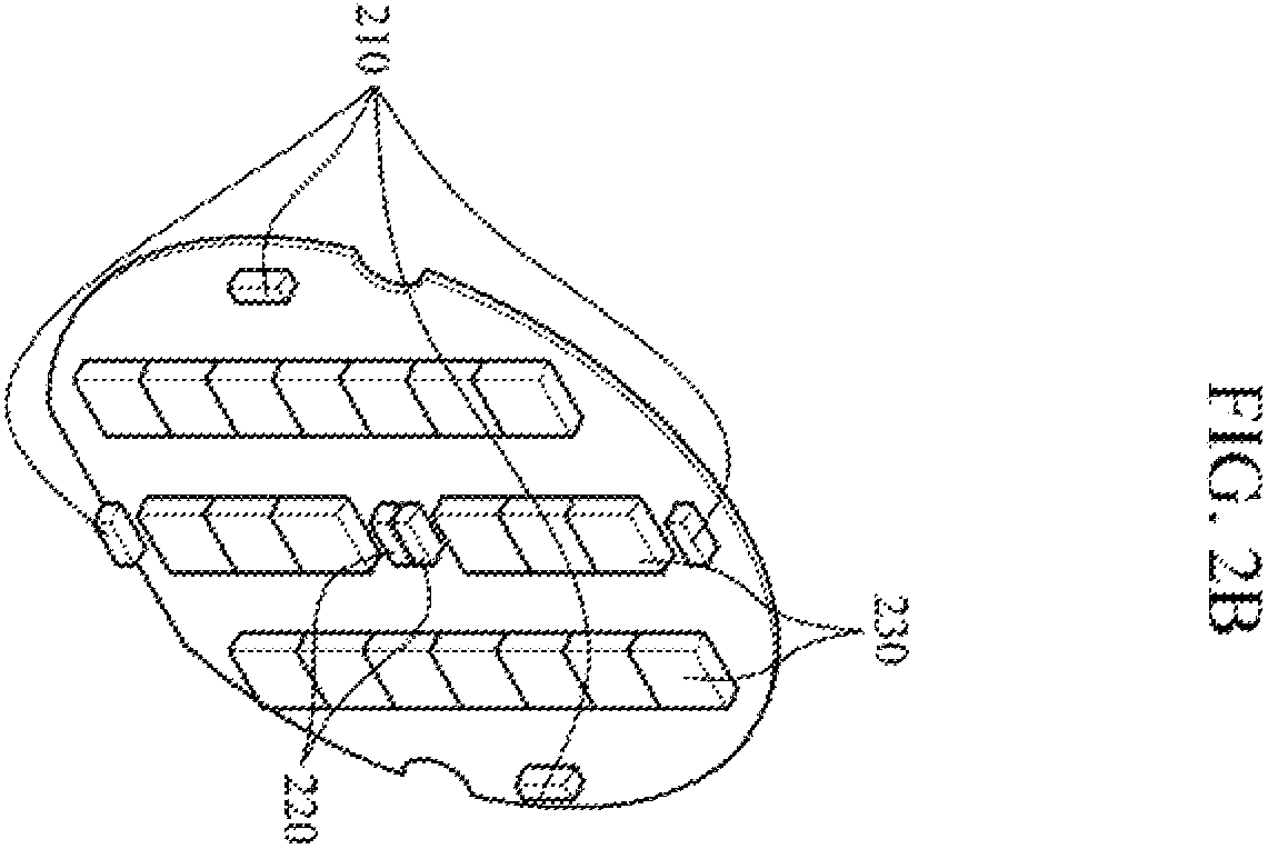 Patent US12551143 Figure 3 – Apparatus and method for measuring triglyceride level