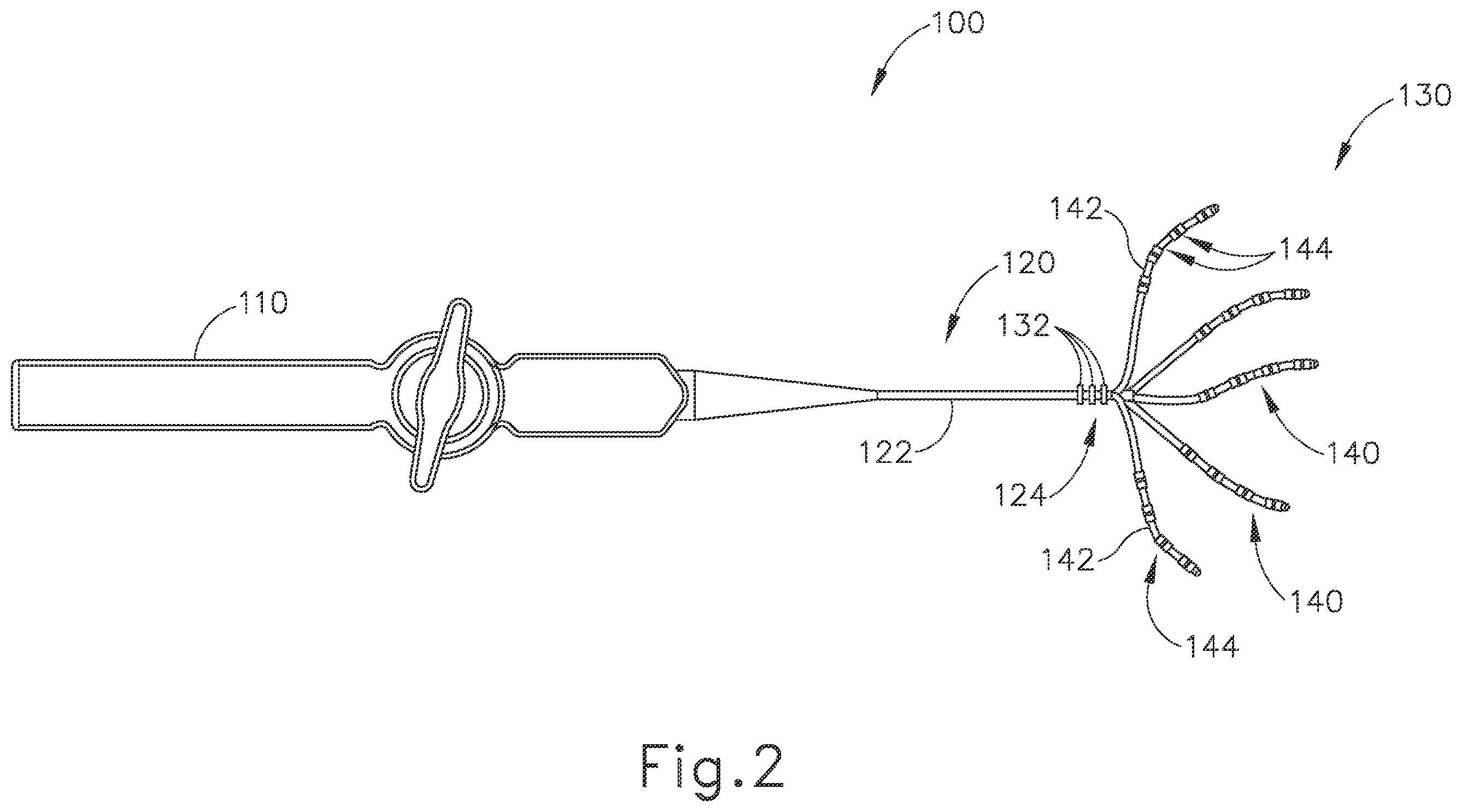 Patent US12551166 Figure 2 – Reference wires to remove noise and artifacts in cardiac mapping catheter