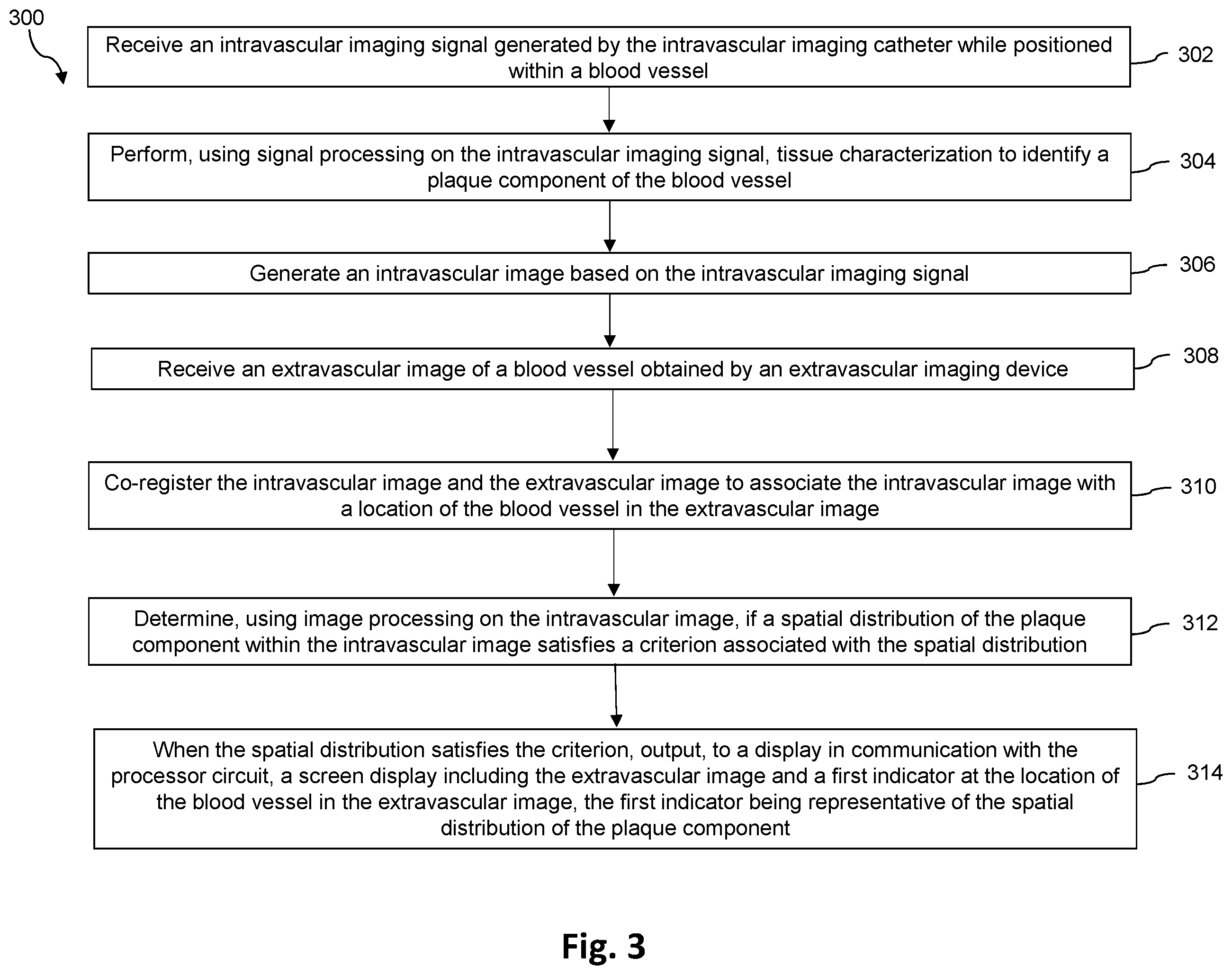 Patent US12551195 Figure 3 – Co-registration of intravascular and extravascular imaging for extravascular image with intravascular tissue morphology