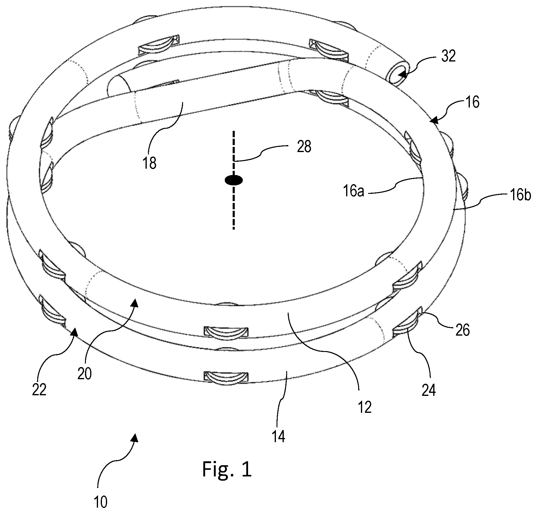 Patent US12551215 Figure 1 – Apparatus and method for forming an anastomosis