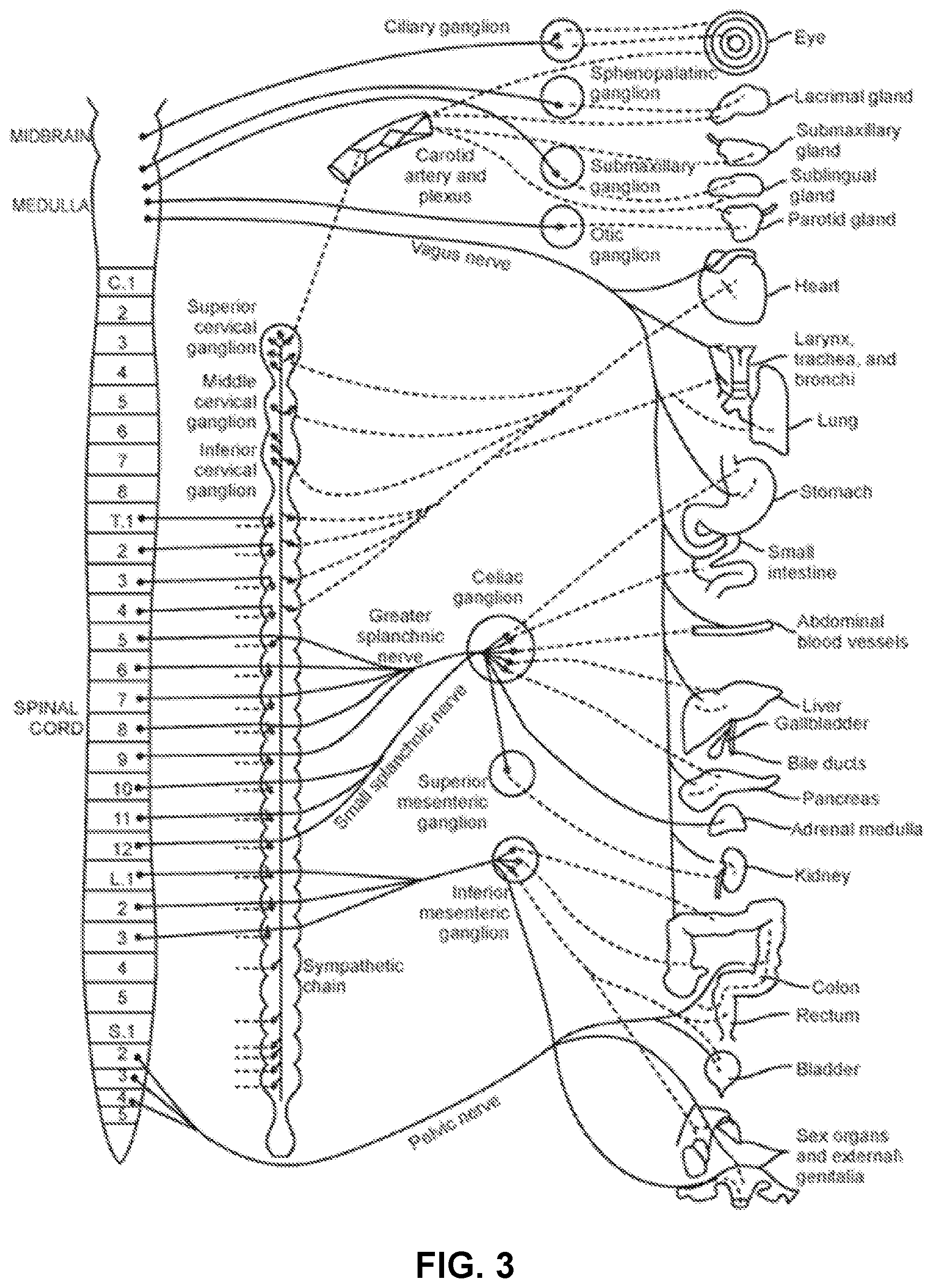 Patent US12551282 Figure 3 – Percutaneous medical device navigation system