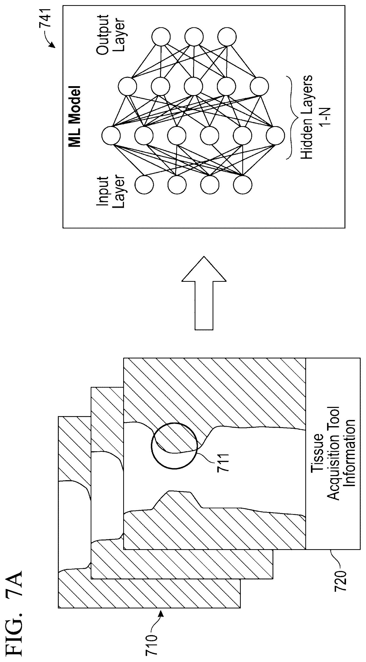 Patent US12551285 Figure 7 – Endoscopic ultrasound guided tissue acquisition