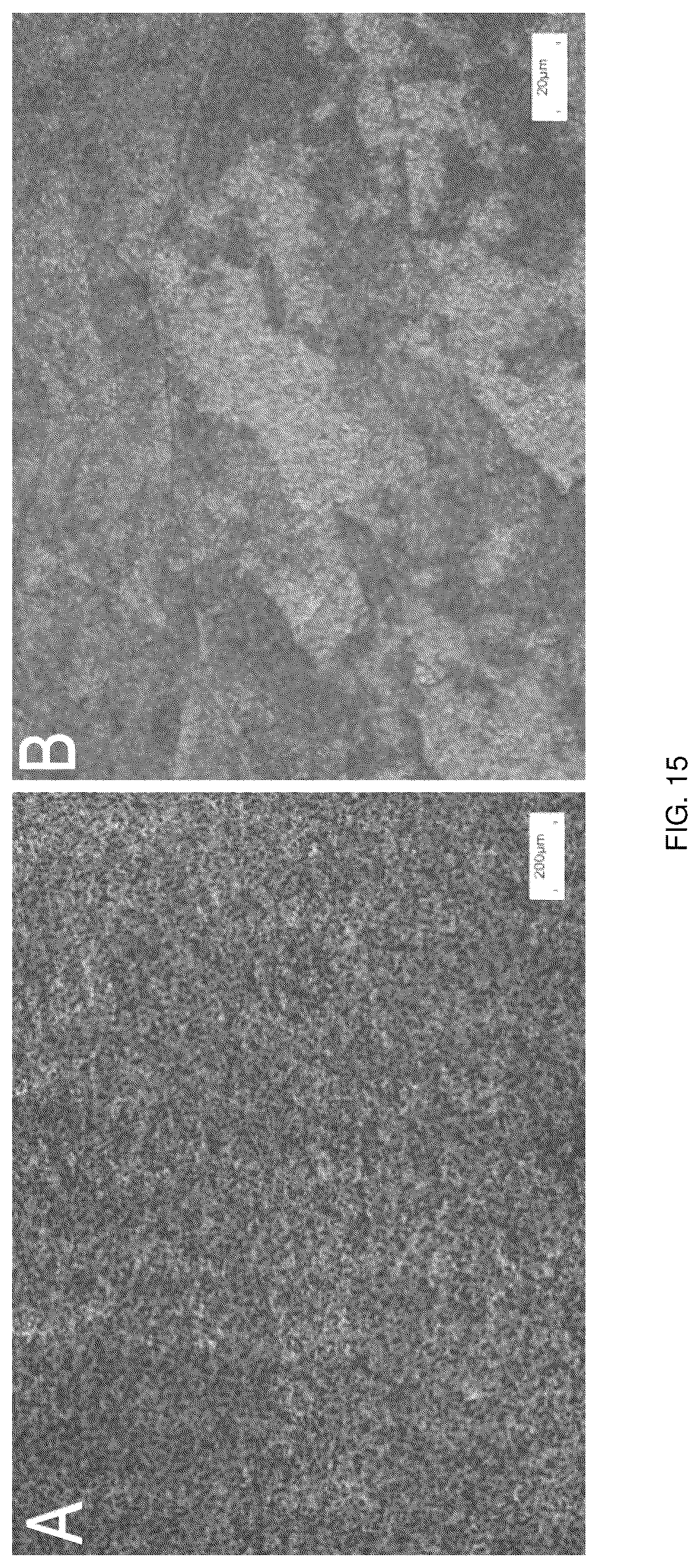 Patent US12551350 Figure 12 – Zonal trabecular uni-compartmental tibial plateau containing zirconium-niobium alloy on oxidation layer and preparation method thereof