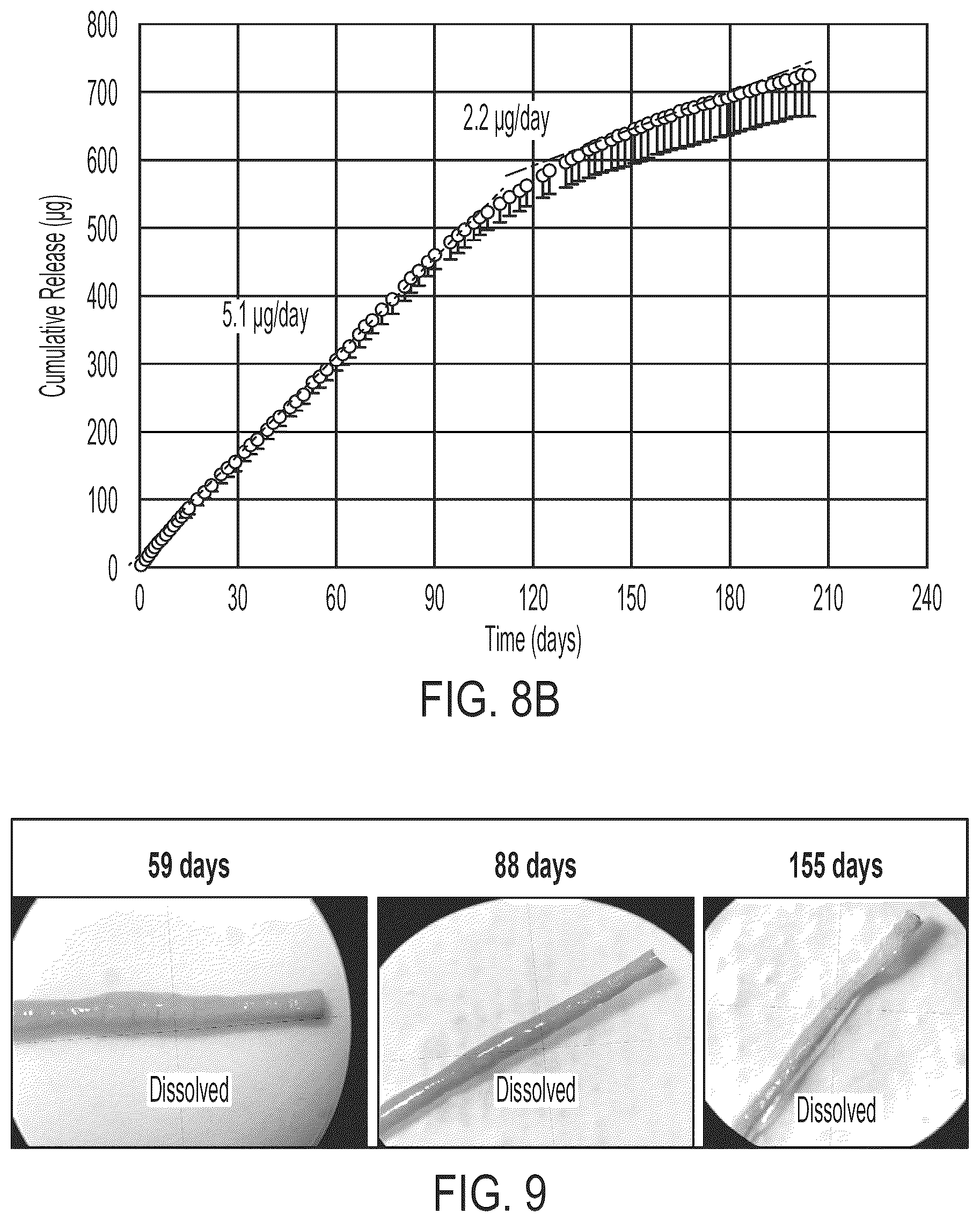 Patent US12551368 Figure 8 – Bioerodible ocular drug delivery insert and therapeutic method