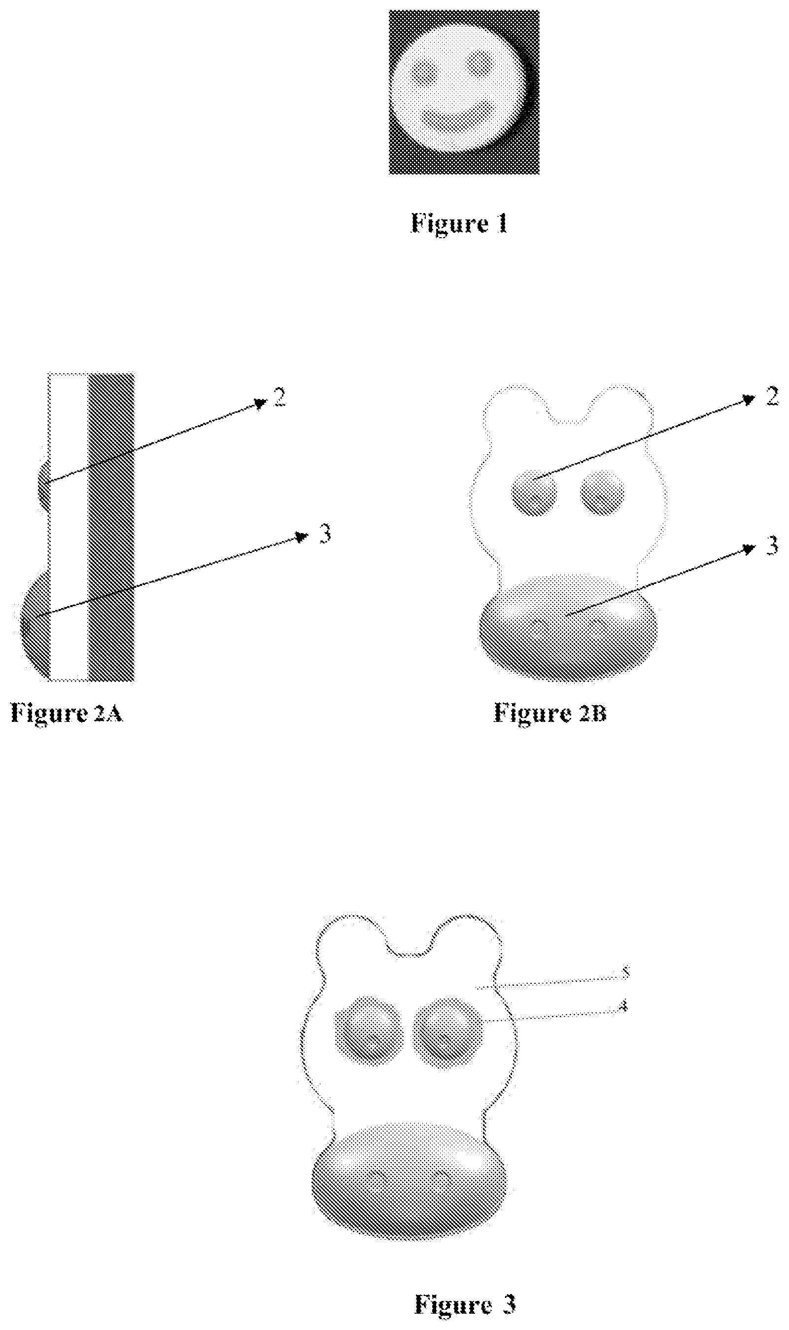 Patent US12551409 — Process for manufacturing a compressed product — Figure 1