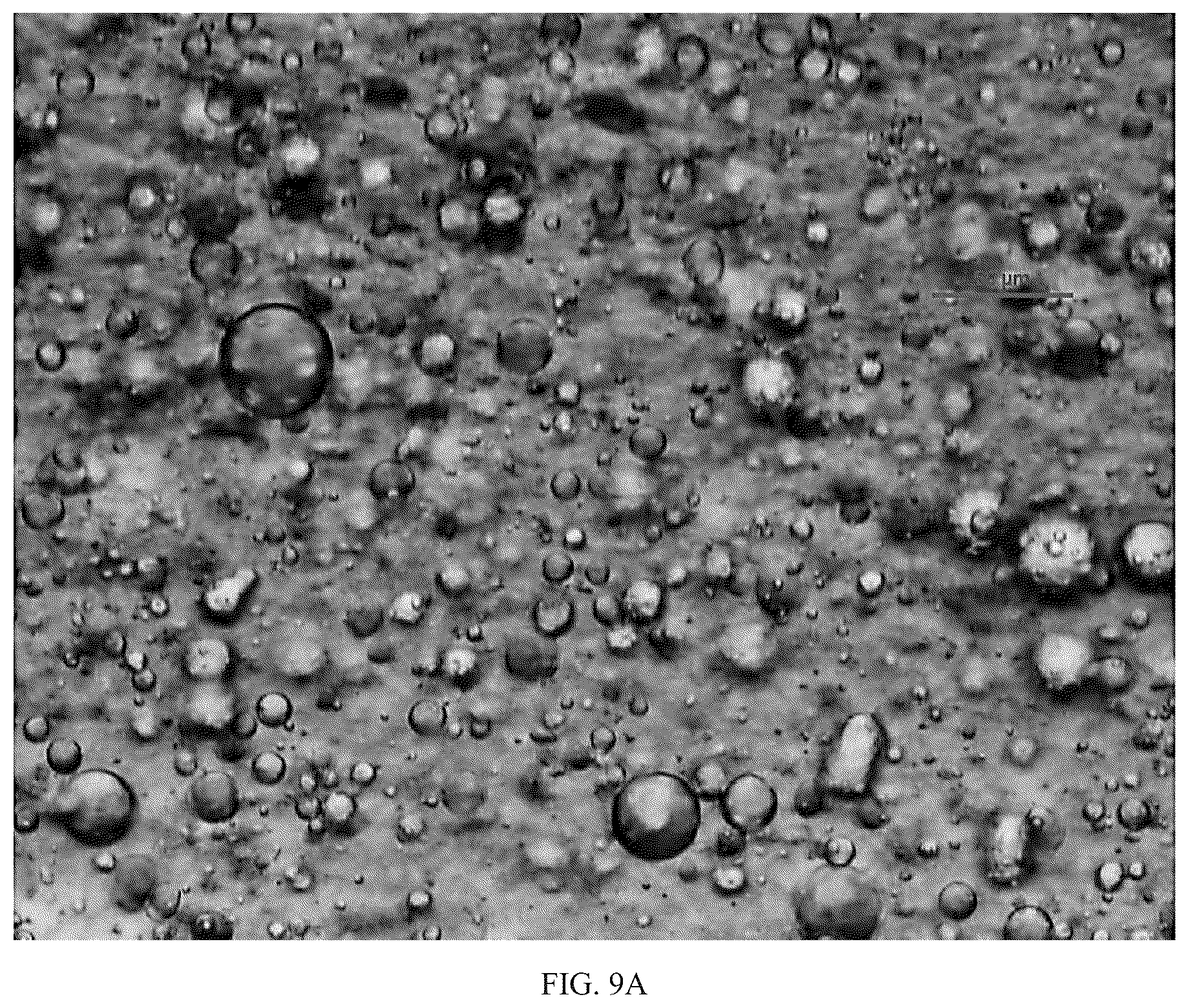 Patent US12551414 Figure 20 – Systems and methods for delivering active agents