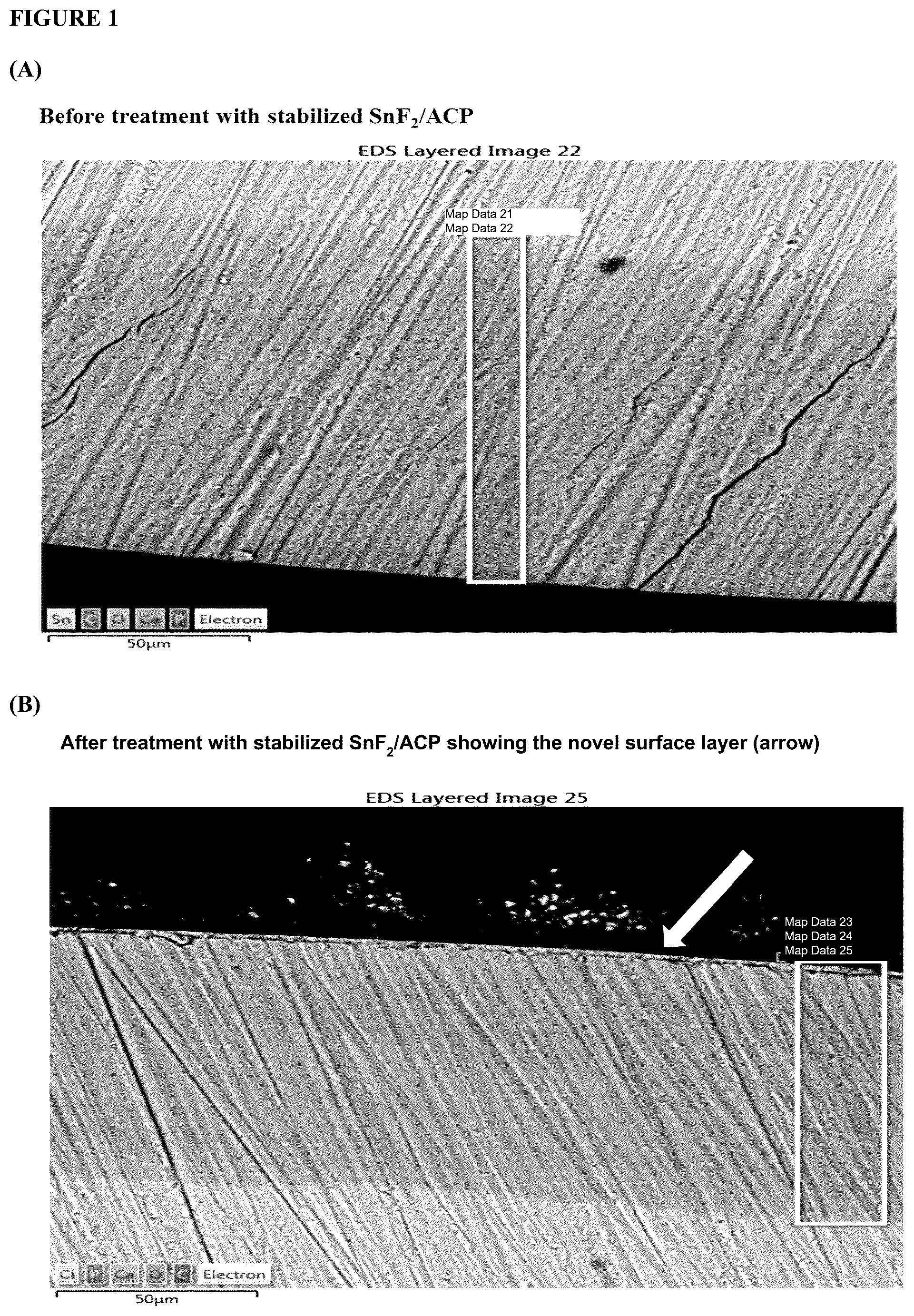 Patent US12551417 Figure 1 – Stabilized stannous compositions