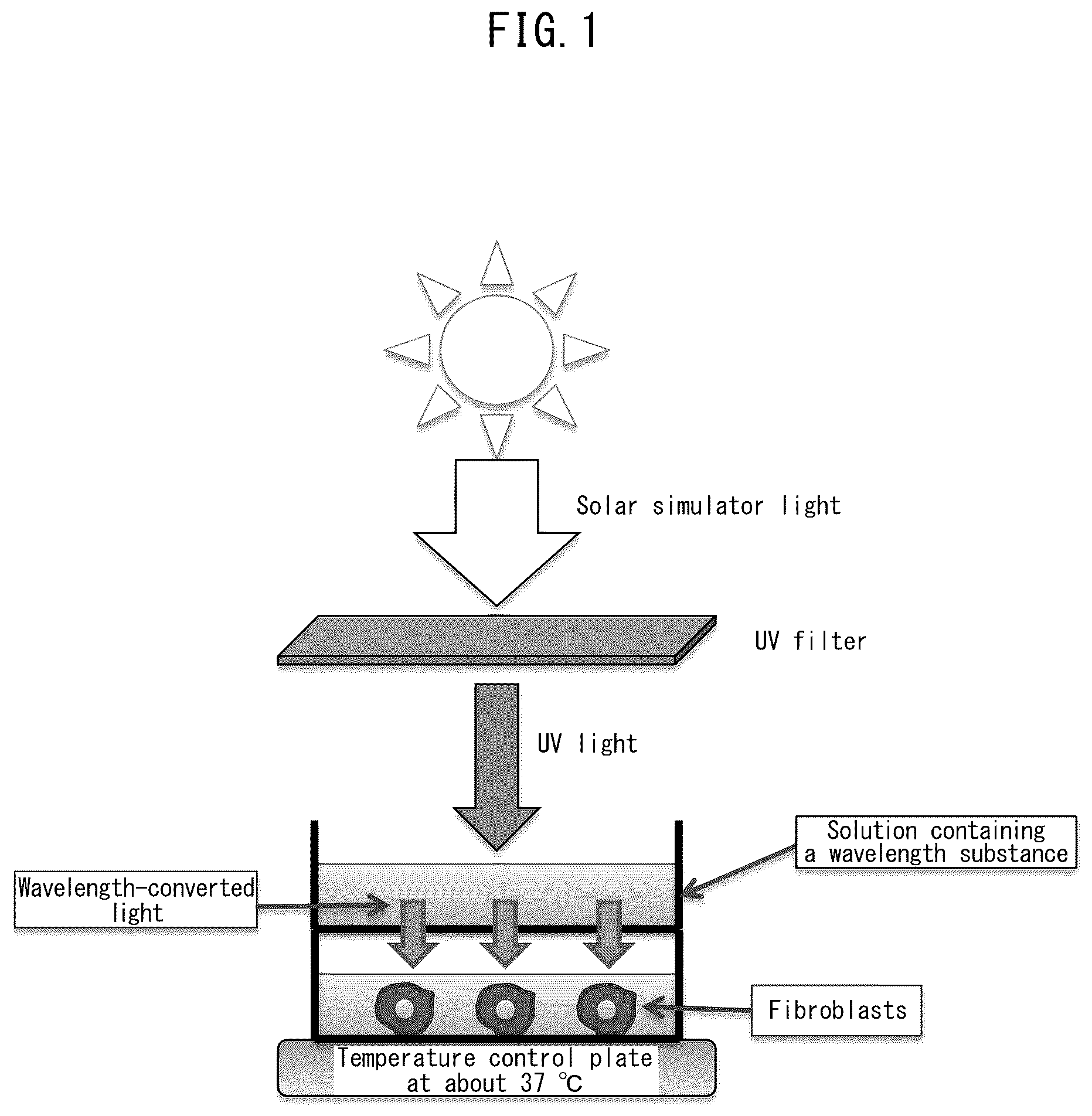 Patent US12551418 Figure 1 – Cosmetic containing ultraviolet wavelength converting substance and medicinal agent