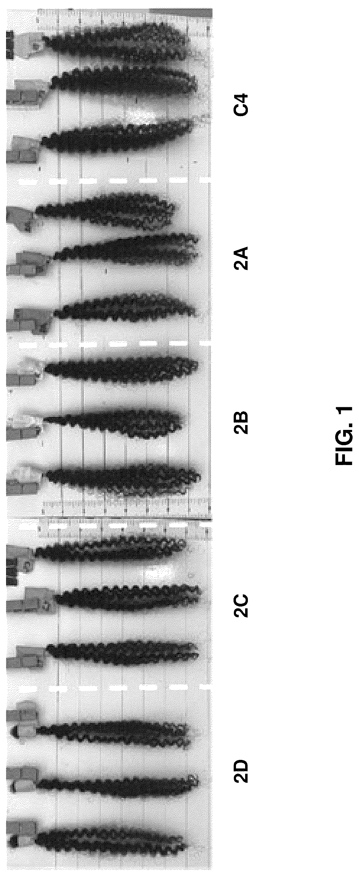 Patent US12551422 Figure 1 – Compositions and methods for styling the hair