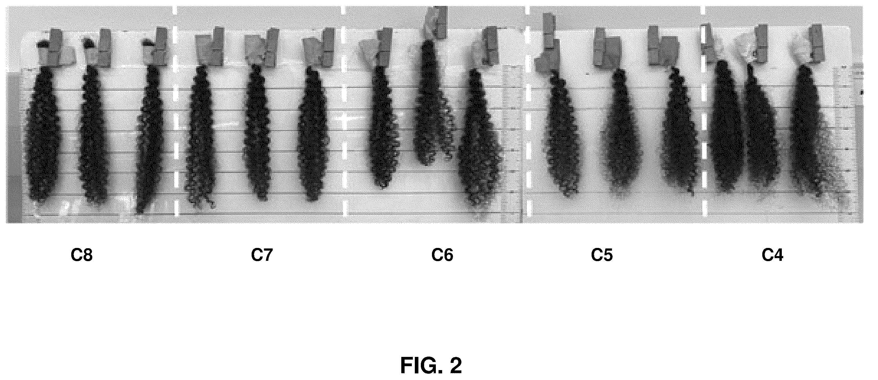 Patent US12551422 Figure 2 – Compositions and methods for styling the hair
