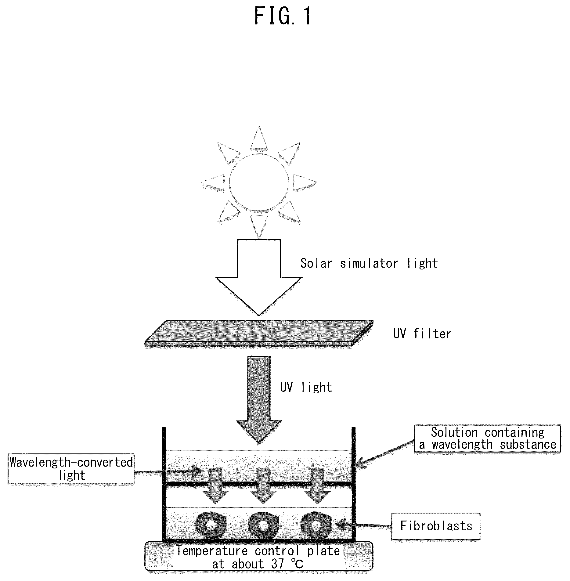 Patent US12551424 Figure 1 – Oil-in-water type emulsification composition containing UV wavelength conversion substance