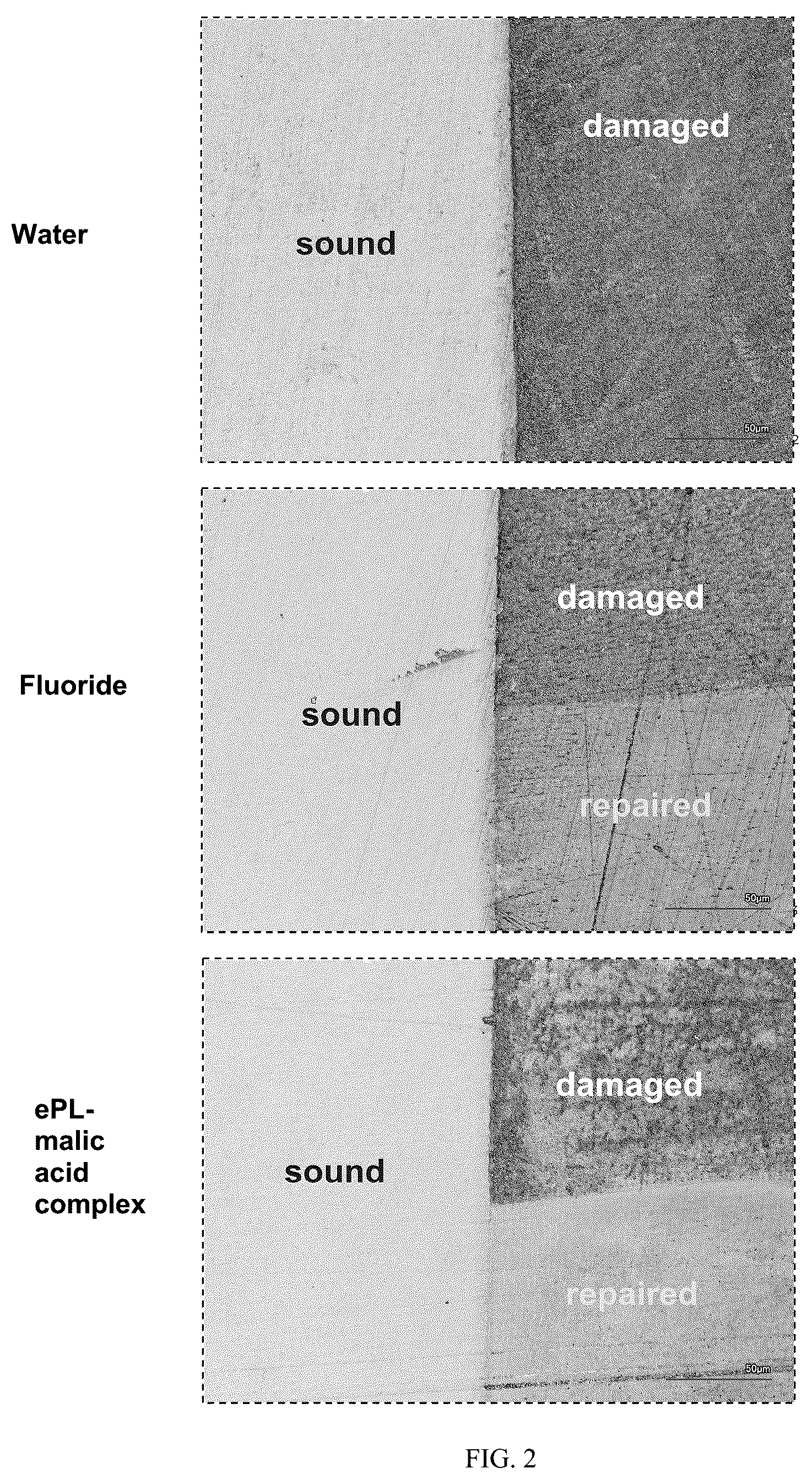 Patent US12551429 Figure 2 – Oral care complexes and compositions