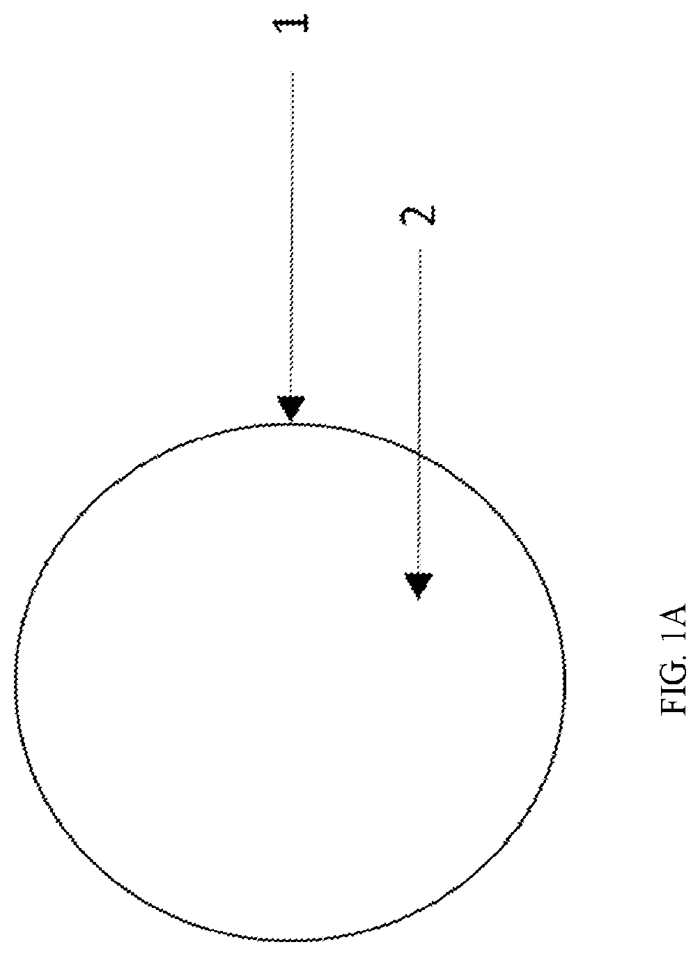 Patent US12551434 — Zwitterionic polymer particle compositions and related methods — Figure 1