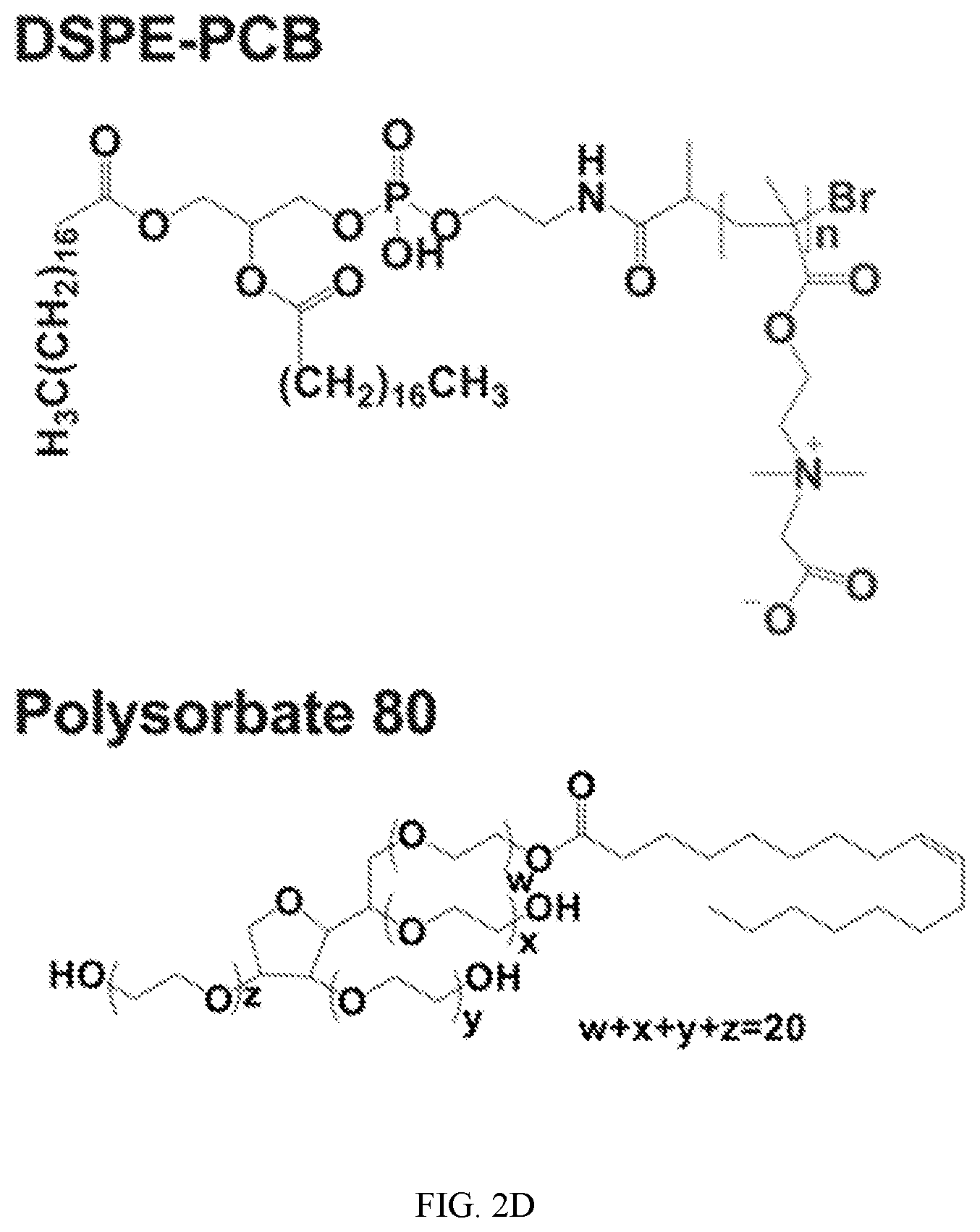 Patent US12551434 Figure 5 – Zwitterionic polymer particle compositions and related methods