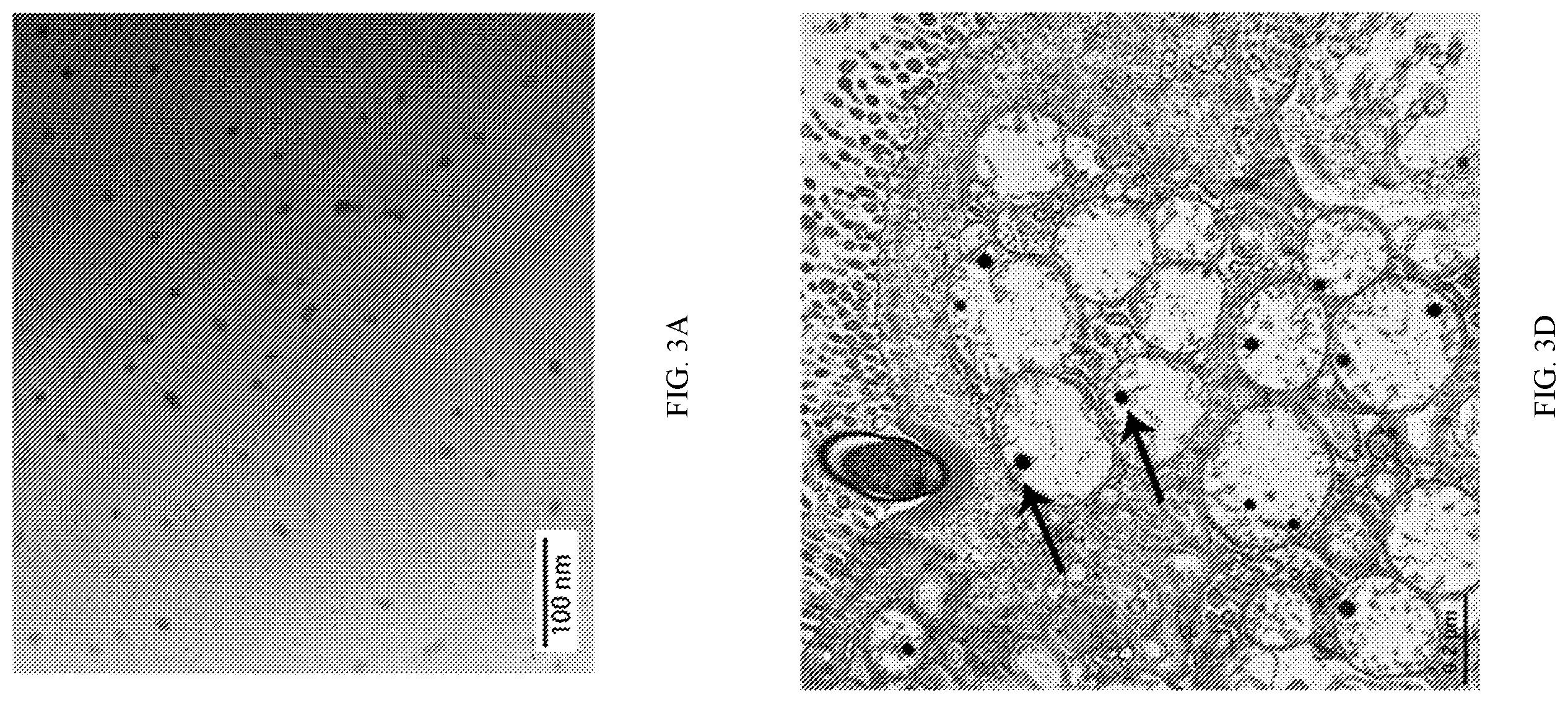 Patent US12551434 Figure 7 – Zwitterionic polymer particle compositions and related methods