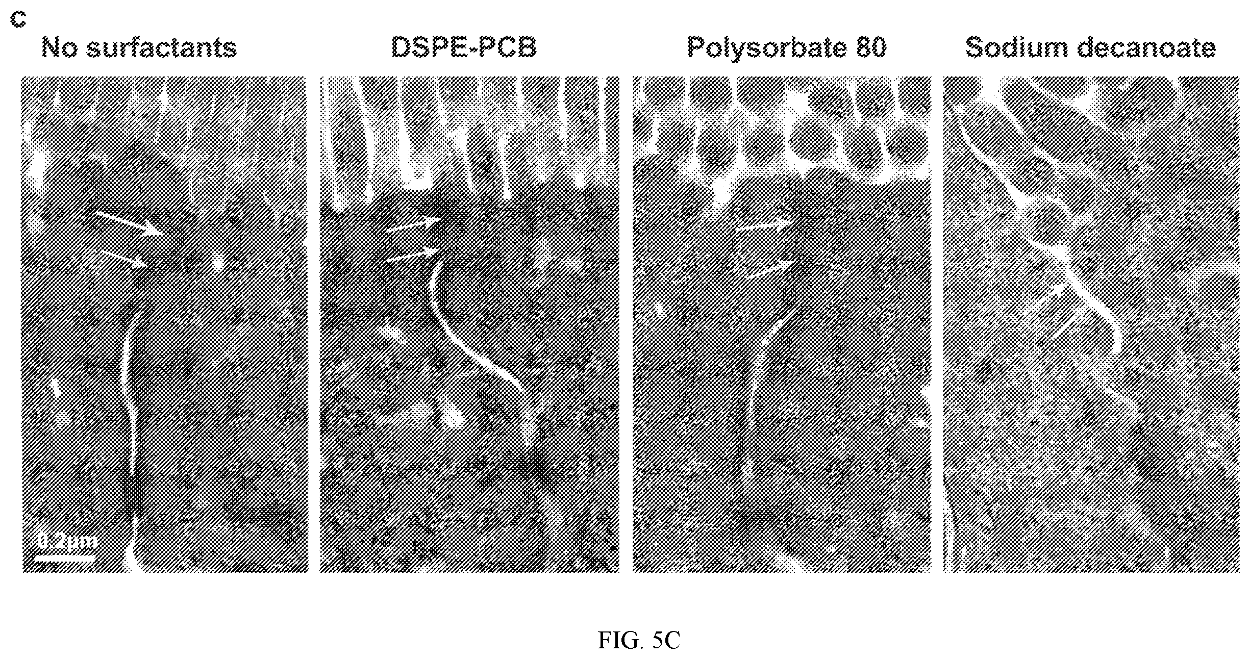 Patent US12551434 Figure 13 – Zwitterionic polymer particle compositions and related methods