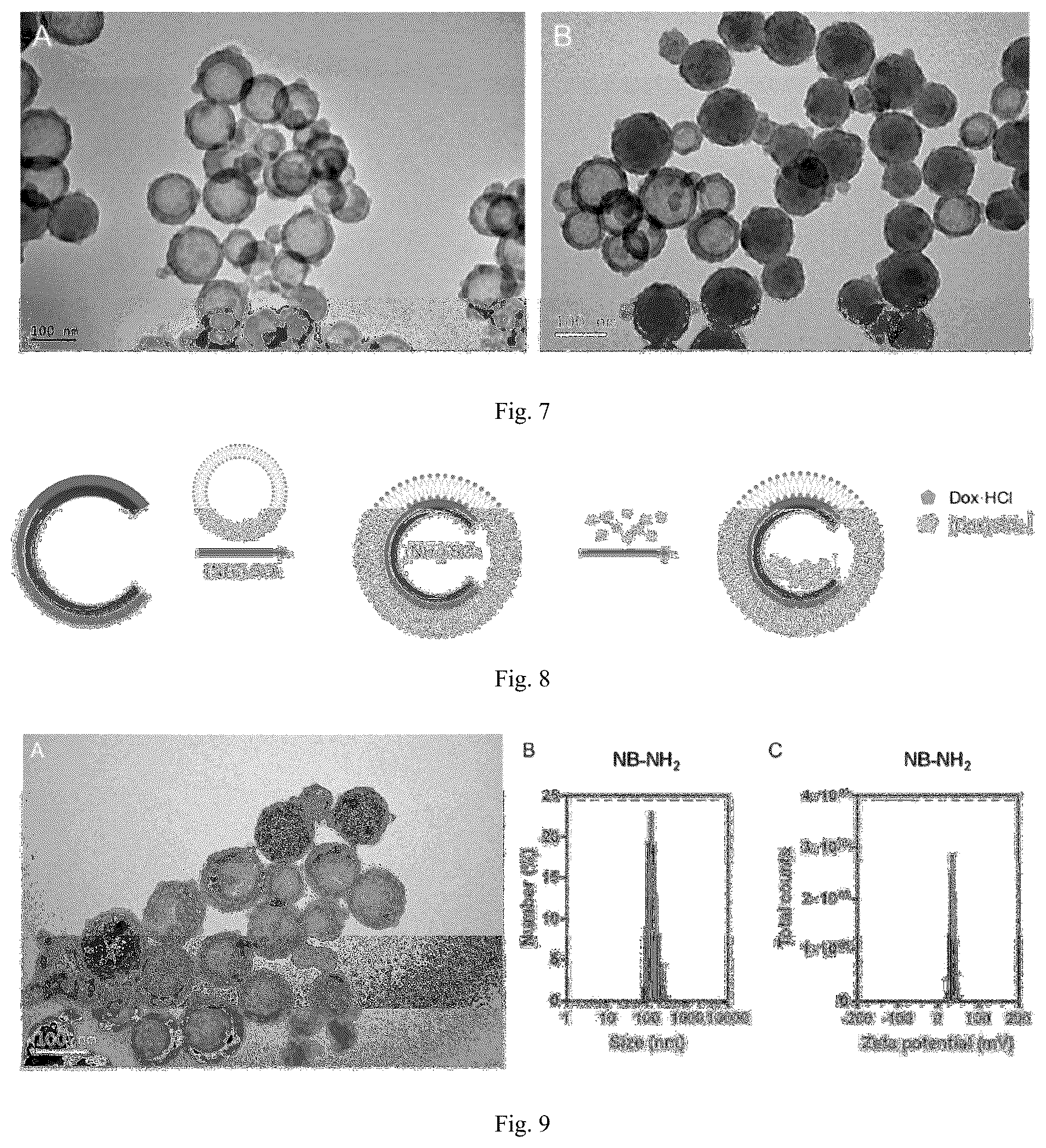 Patent US12551438 Figure 3 – Nanobowl-supported drug-loaded liposome, preparation method therefor and application thereof