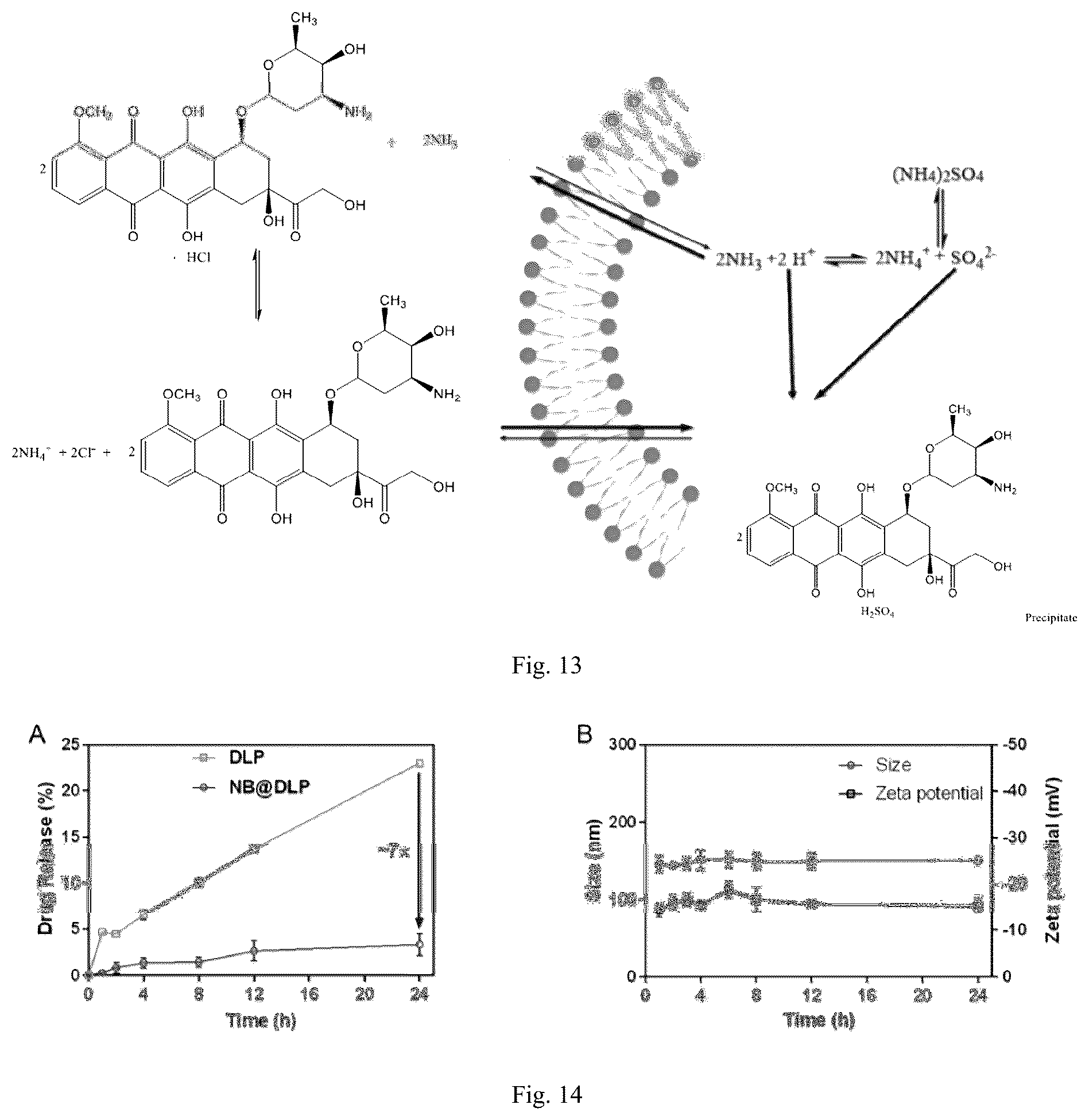 Patent US12551438 Figure 5 – Nanobowl-supported drug-loaded liposome, preparation method therefor and application thereof