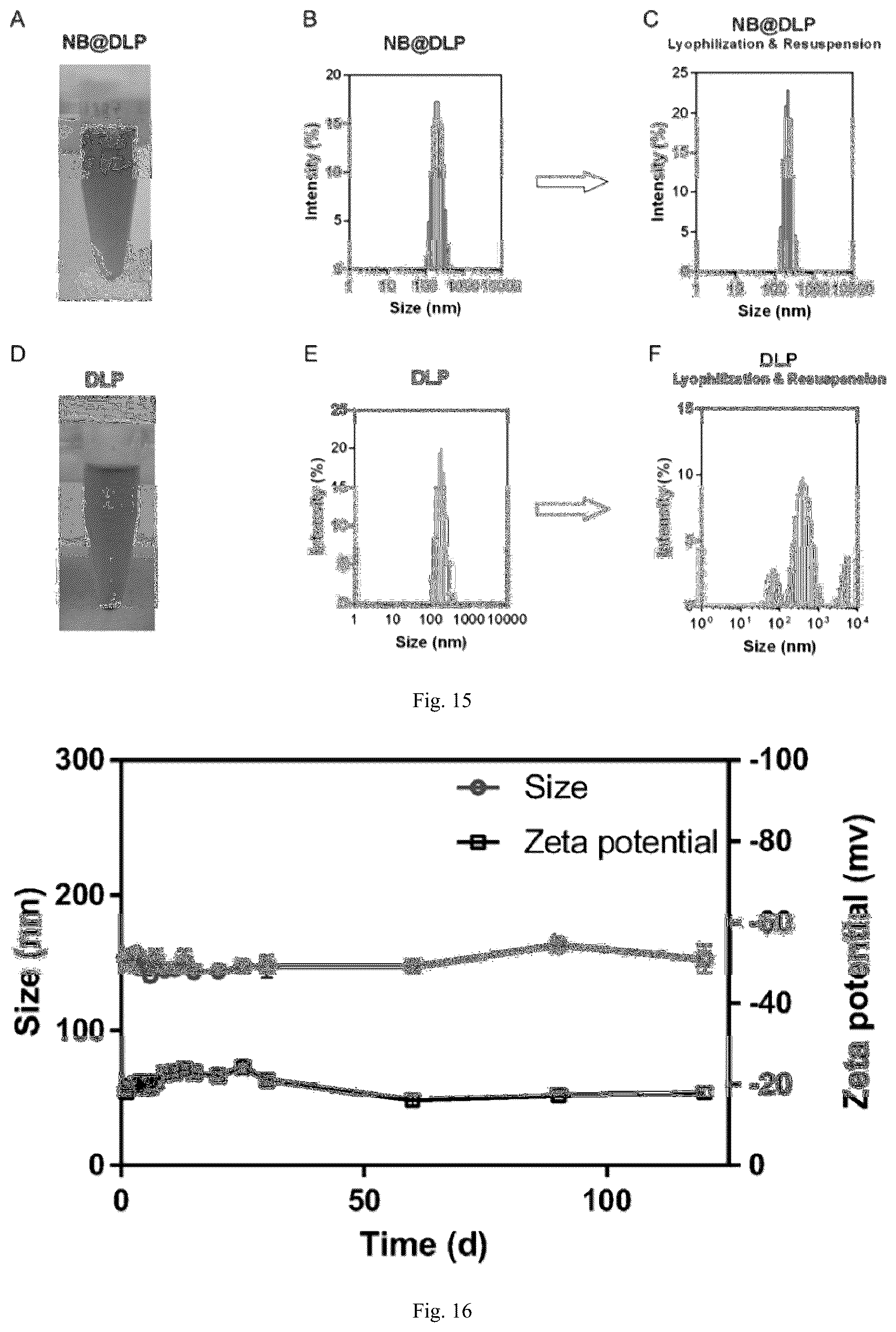 Patent US12551438 Figure 6 – Nanobowl-supported drug-loaded liposome, preparation method therefor and application thereof