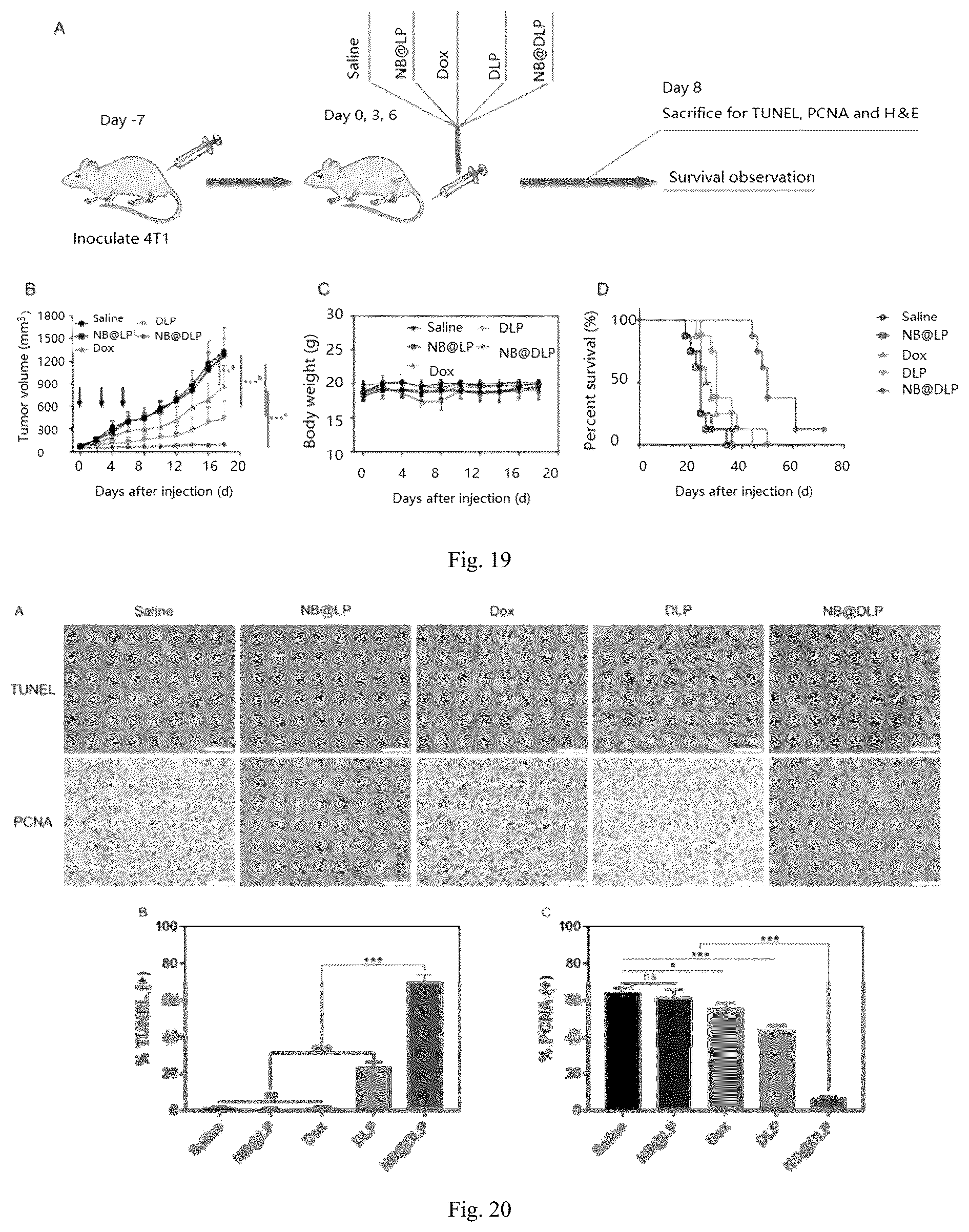 Patent US12551438 Figure 8 – Nanobowl-supported drug-loaded liposome, preparation method therefor and application thereof