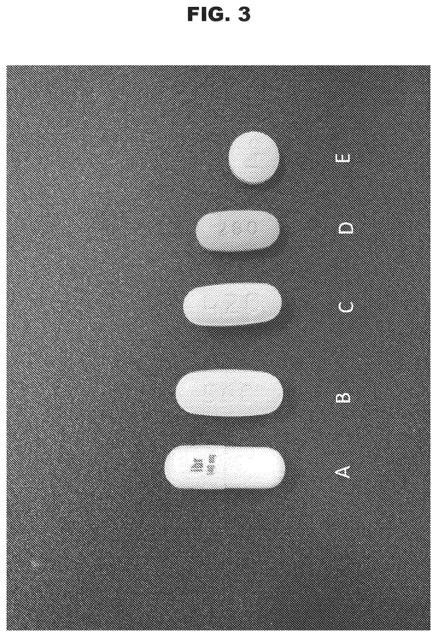 Patent US12551448 Figure 3 – Pharmaceutical formulations of a Bruton's tyrosine kinase inhibitor