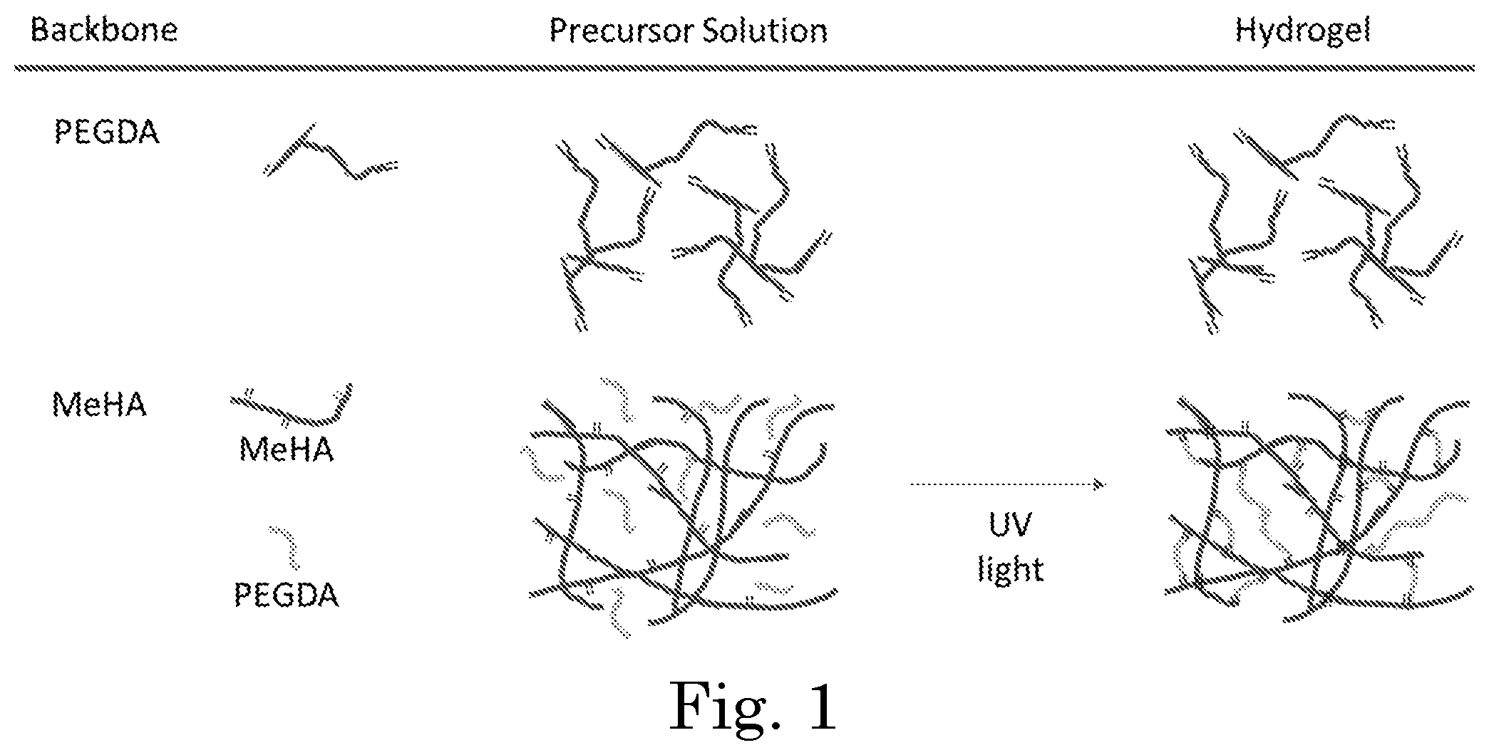 Patent US12551449 — Tunable degradation in hydrogel microparticles — Figure 1