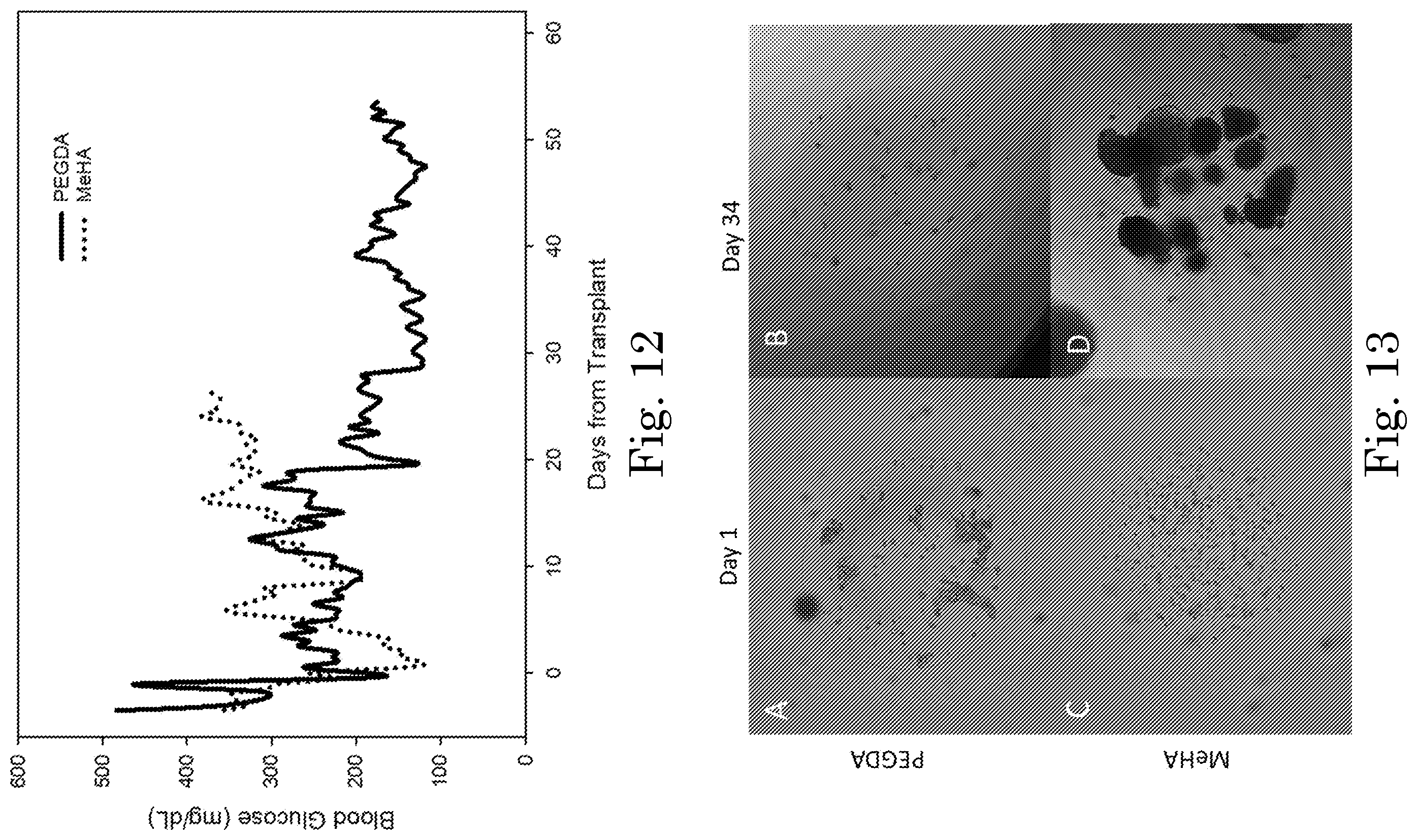Patent US12551449 Figure 9 – Tunable degradation in hydrogel microparticles
