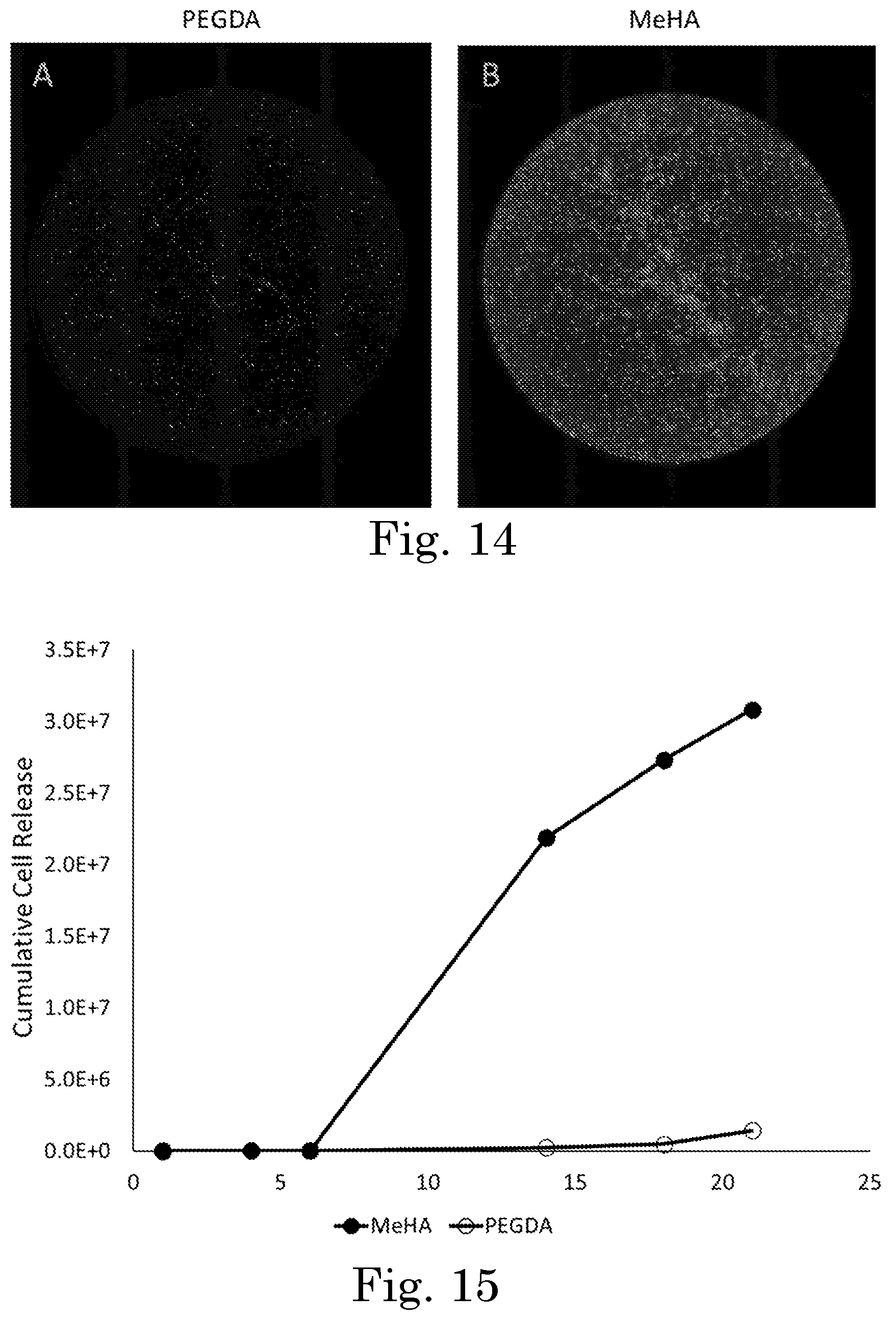 Patent US12551449 Figure 10 – Tunable degradation in hydrogel microparticles