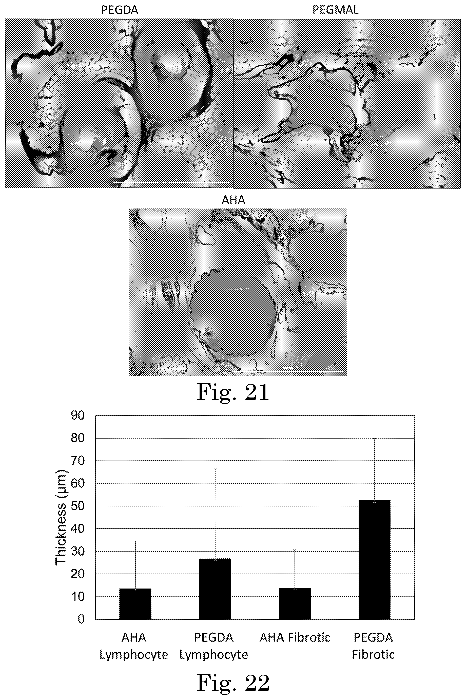 Patent US12551449 Figure 15 – Tunable degradation in hydrogel microparticles