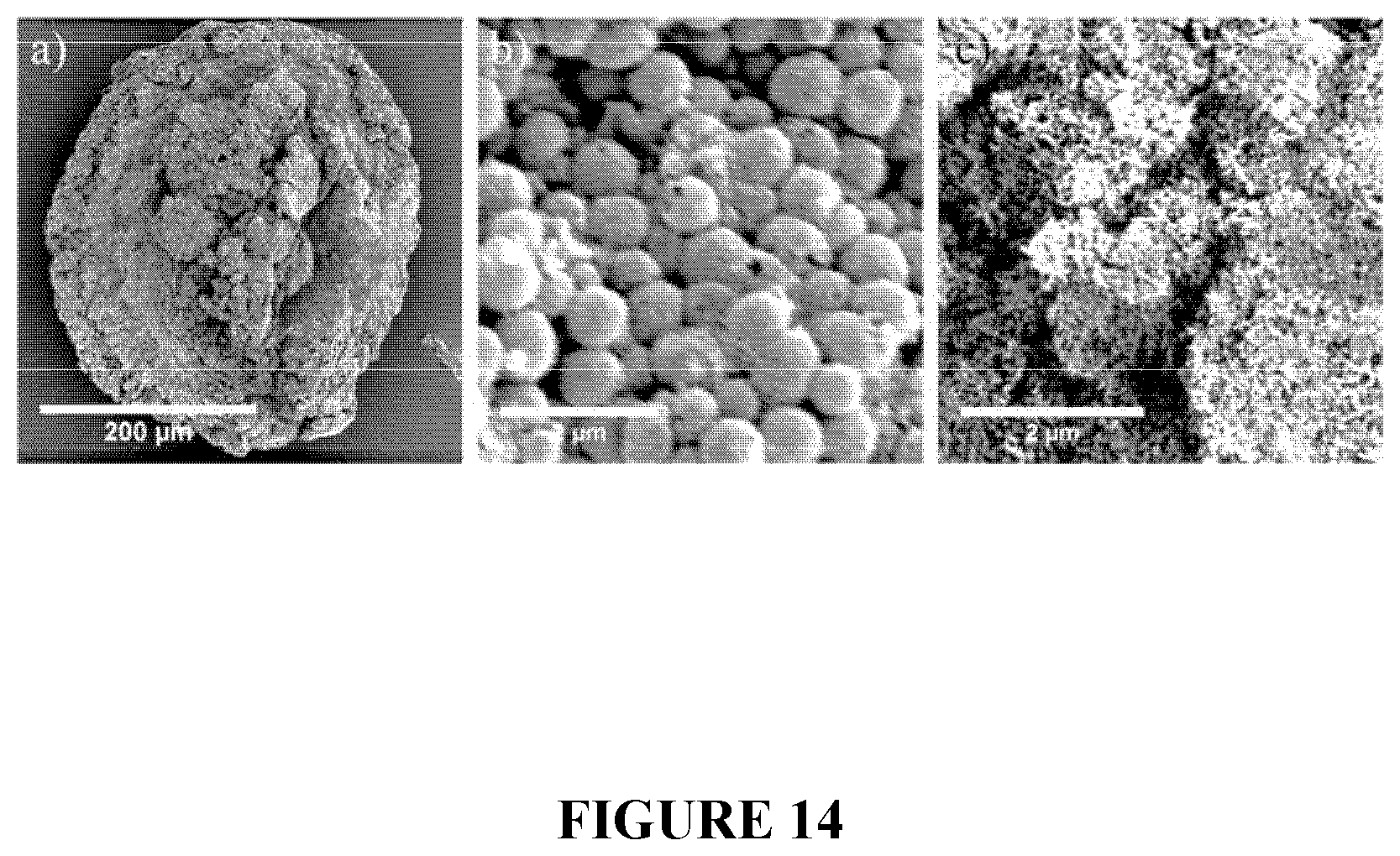 Patent US12551450 Figure 14 – Supraparticle formulations