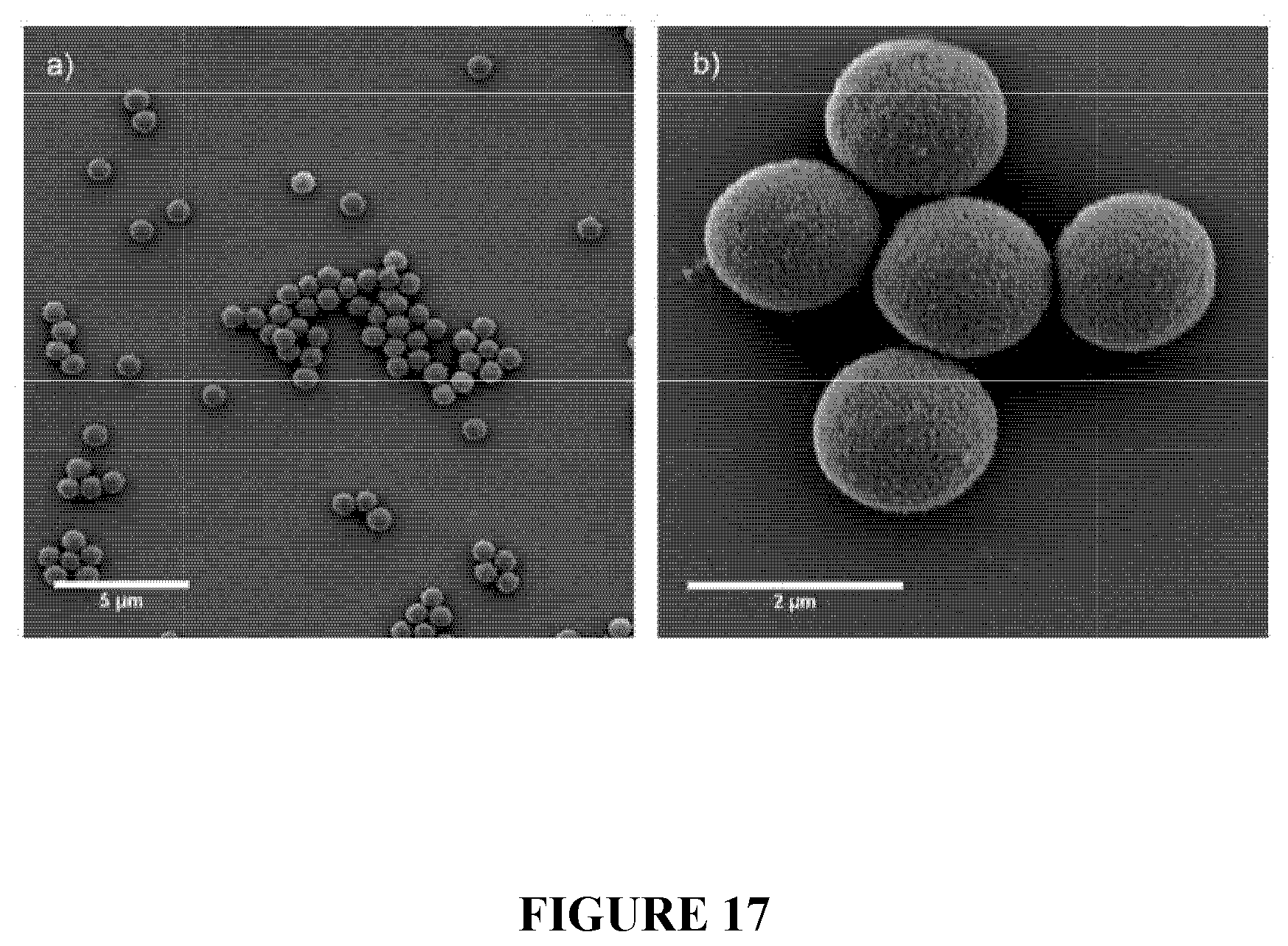 Patent US12551450 Figure 17 – Supraparticle formulations