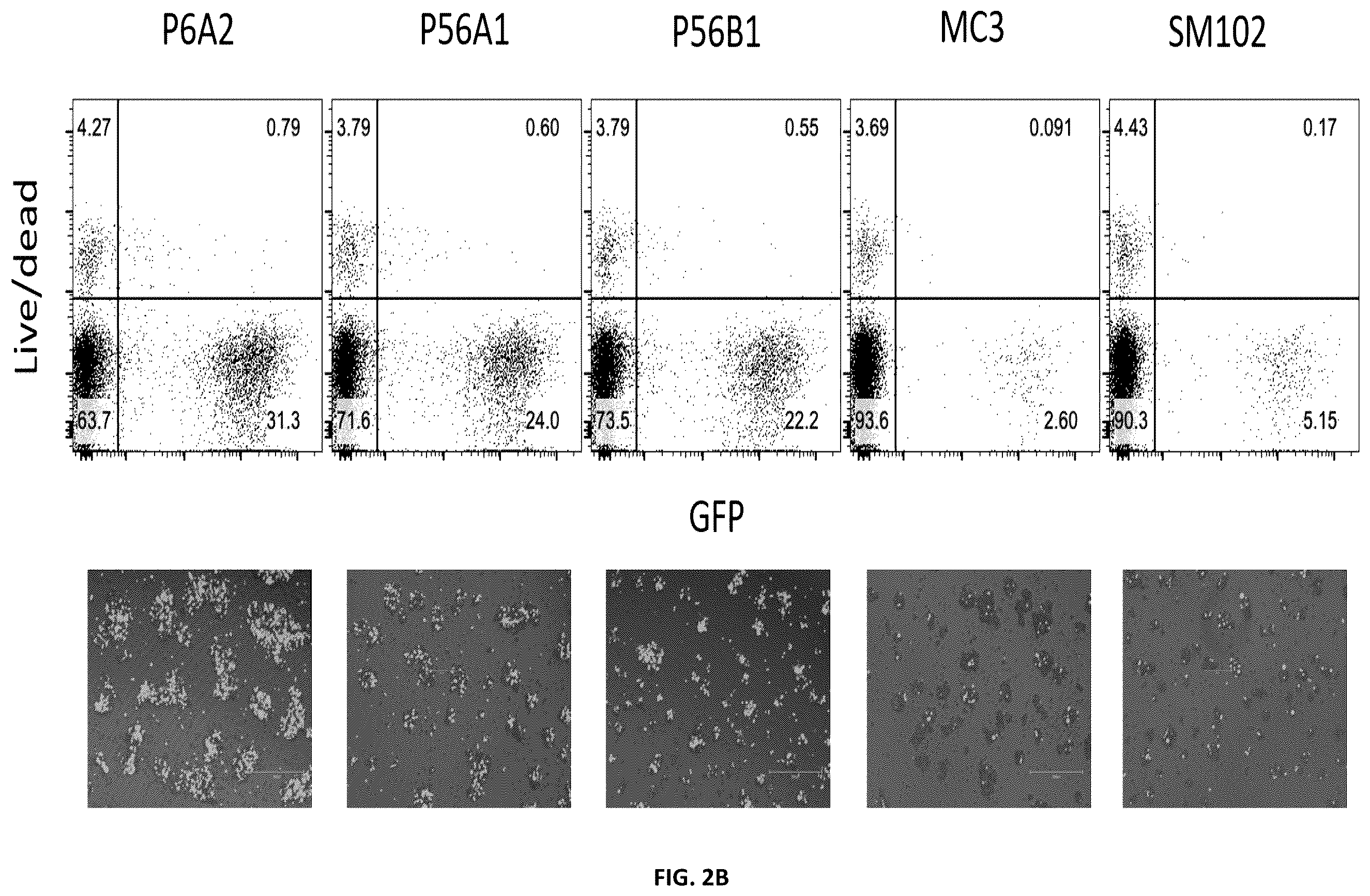 Patent US12551451 Figure 3 – Compositions and methods for delivering molecules