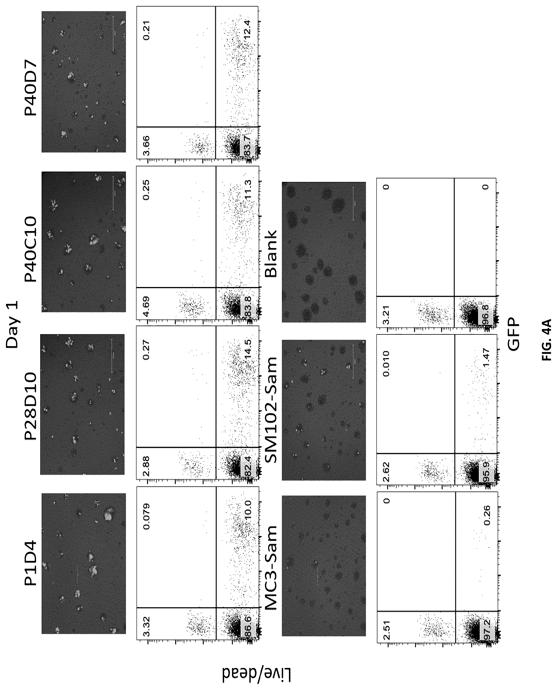 Patent US12551451 Figure 5 – Compositions and methods for delivering molecules