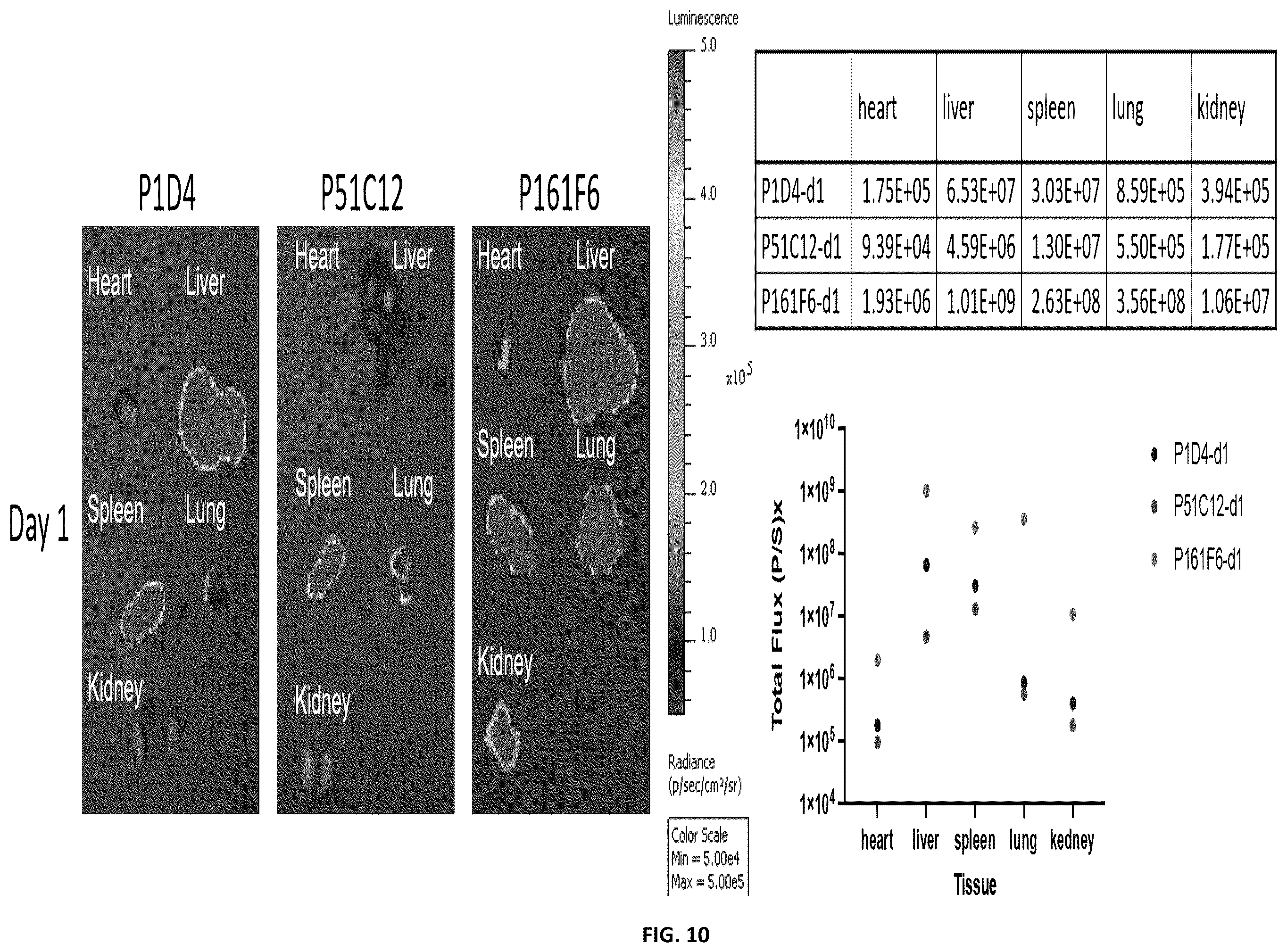 Patent US12551451 Figure 13 – Compositions and methods for delivering molecules