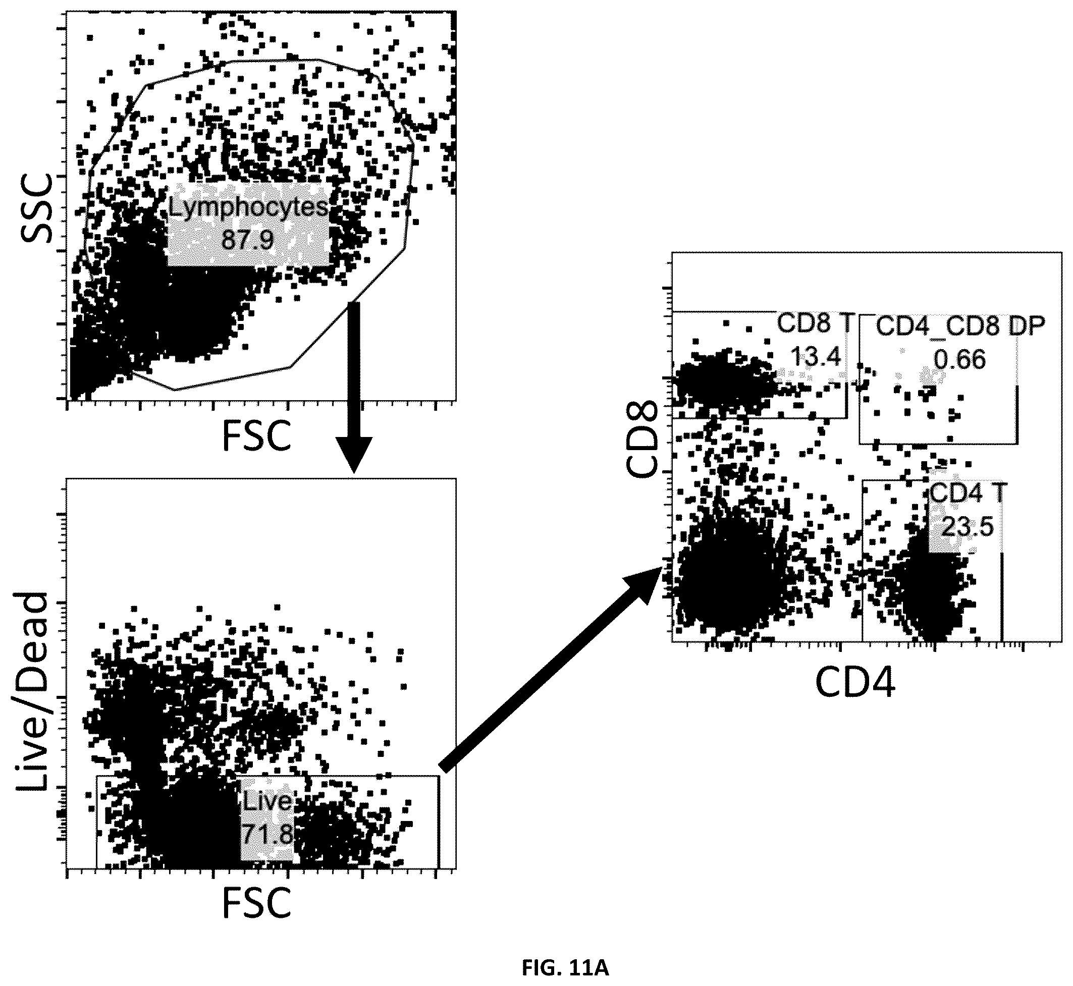 Patent US12551451 Figure 14 – Compositions and methods for delivering molecules
