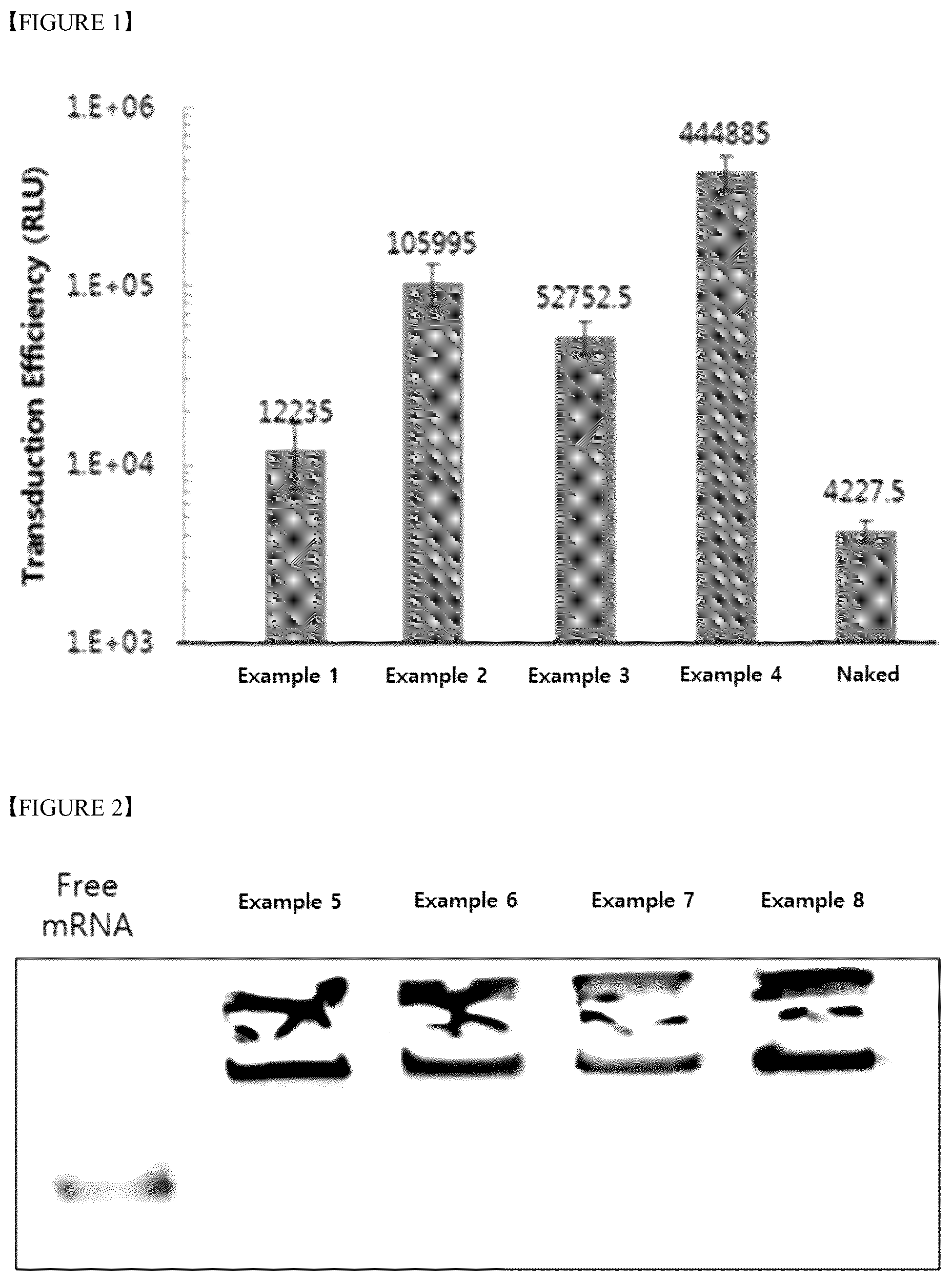 Patent US12551452 — Kit for preparing nanoparticle composition for drug delivery, comprising polylactic acid salt — Figure 1