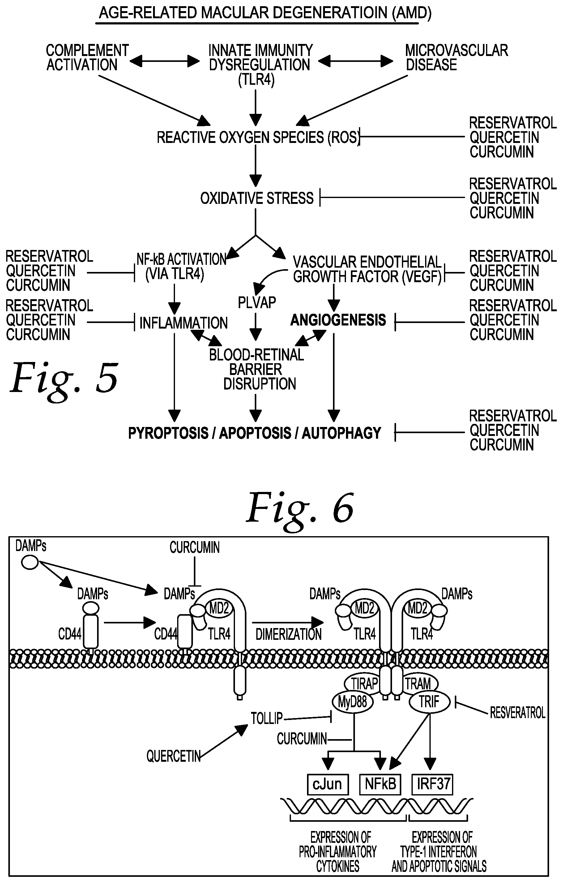 Patent US12551453 Figure 3 – Compositions and methods of treating age-related macular degeneration