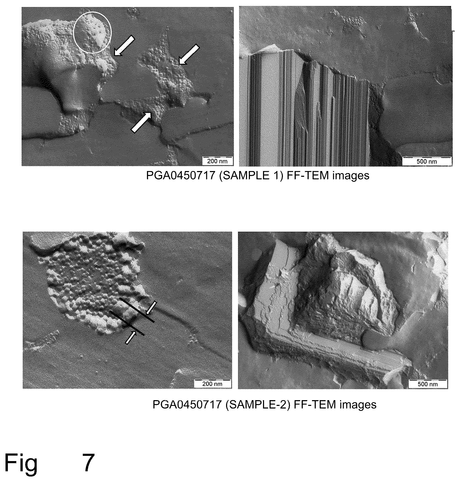 Patent US12551458 Figure 7 – Topical pharmaceutical composition containing phospholipids
