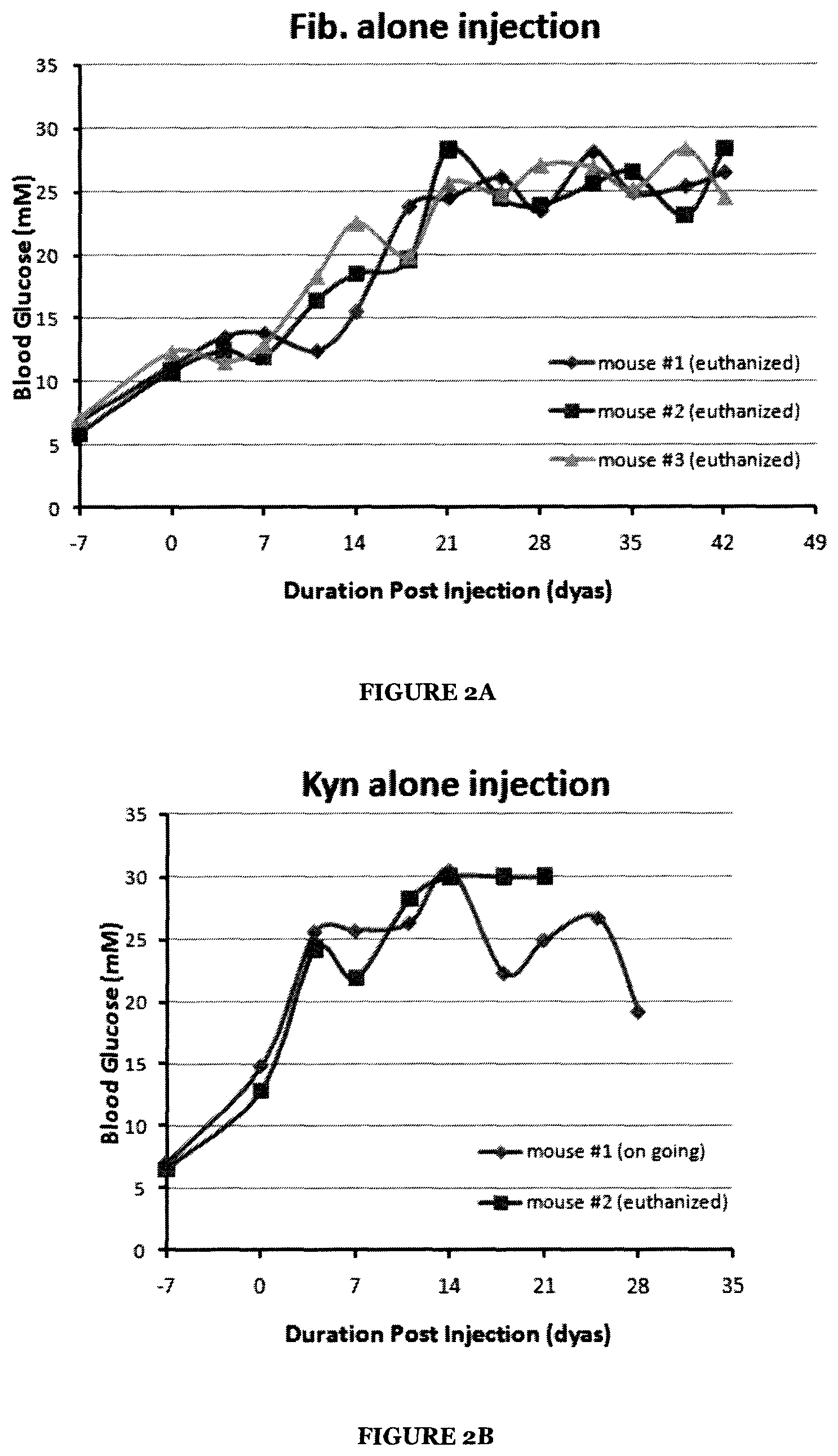 Patent US12551459 Figure 2 – Combination of kynurenine and antigen presenting cells (APC) as therapeutics and methods for their use in immune modulation