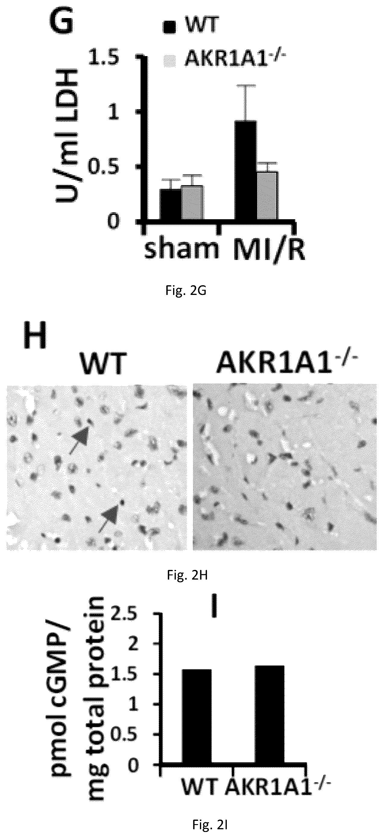 Patent US12551467 Figure 5 – Compositions and methods of modulating S-nitrosylation