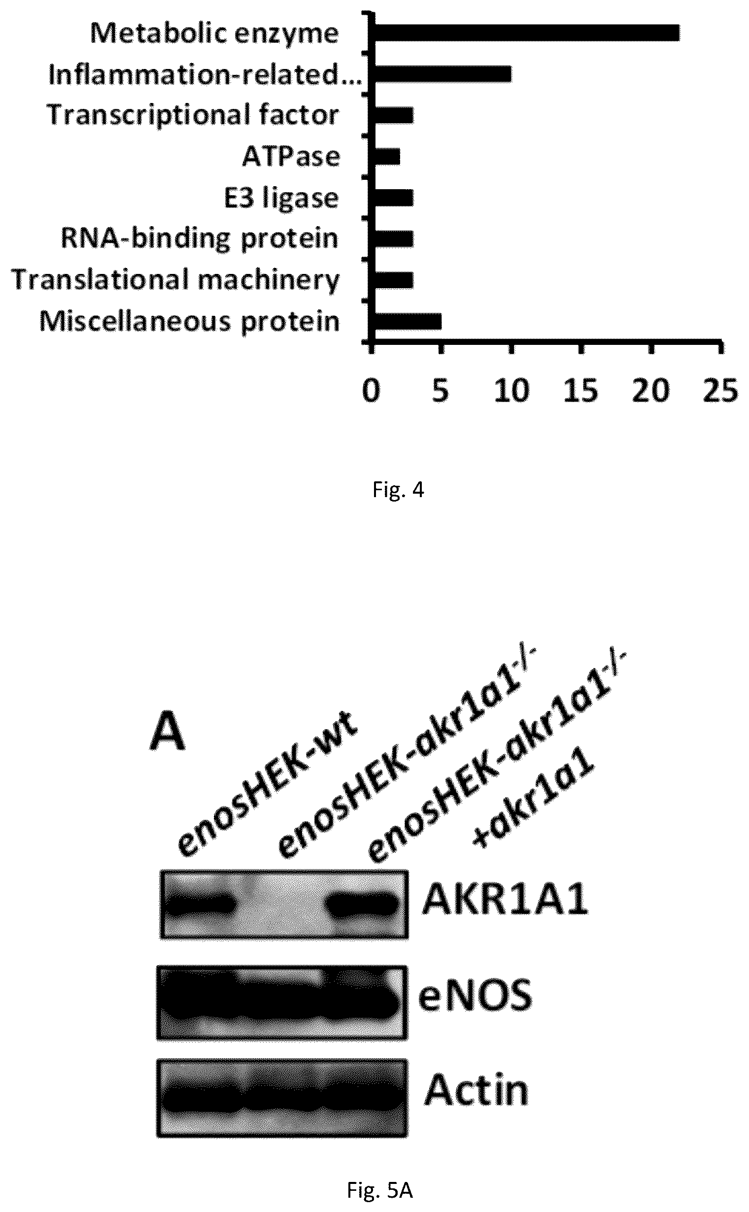 Patent US12551467 Figure 7 – Compositions and methods of modulating S-nitrosylation